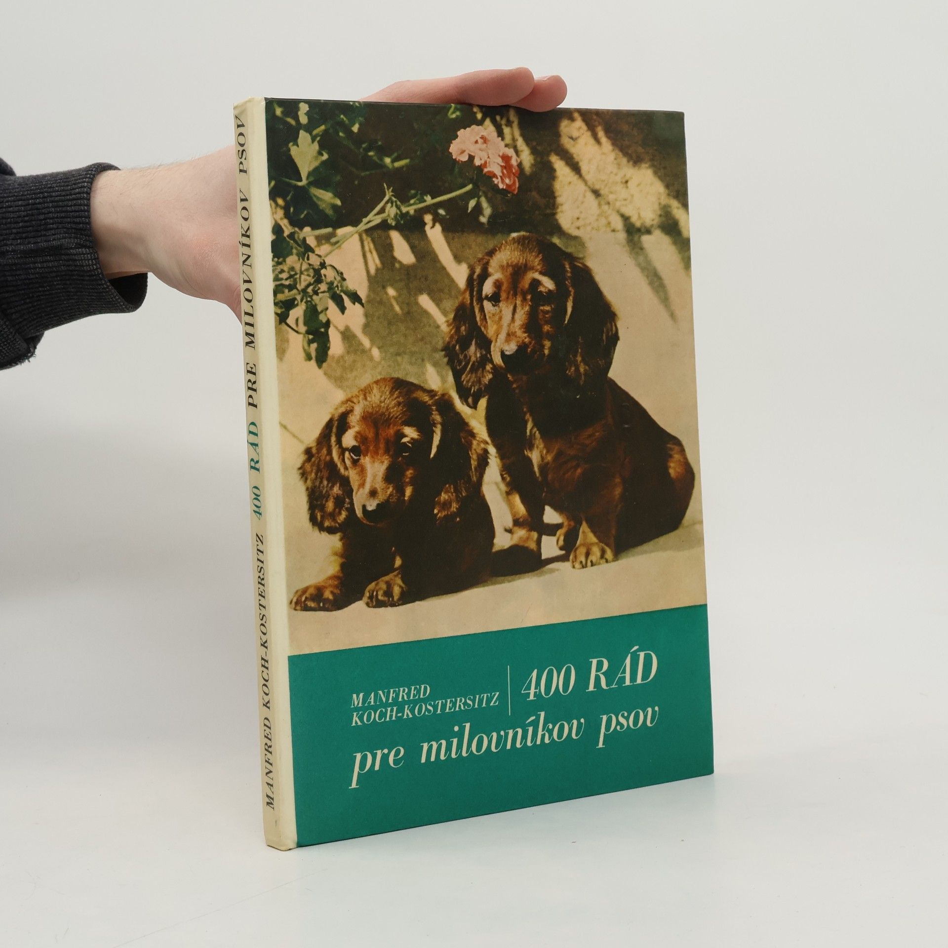 400 rád pre milovníkov psov