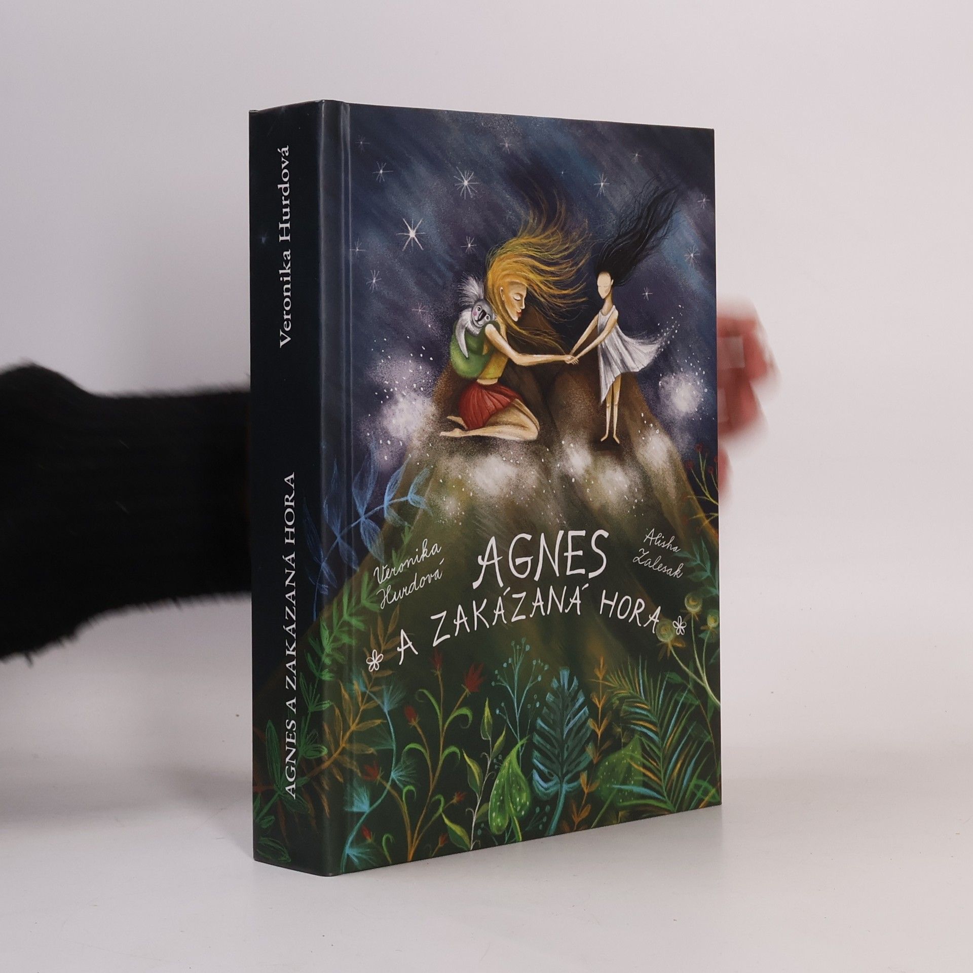 Veronika Hurdová Agnes a Zakázaná hora