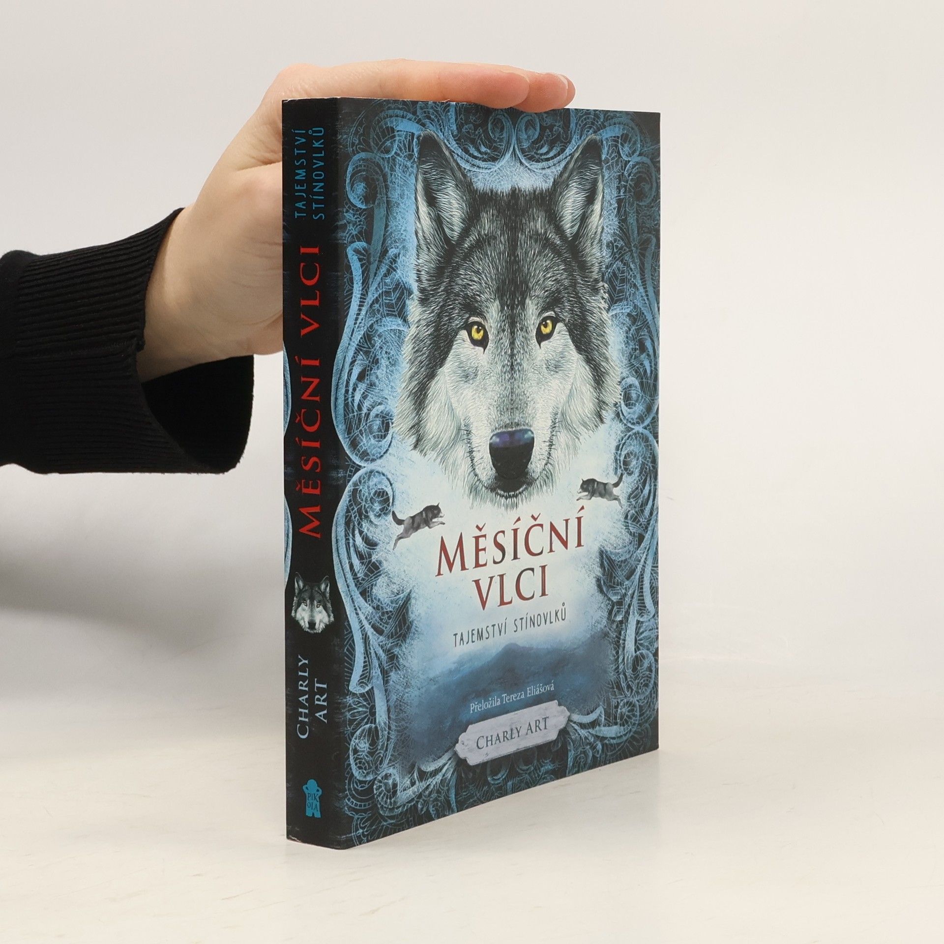 Charly Art Tajemství stínovlků