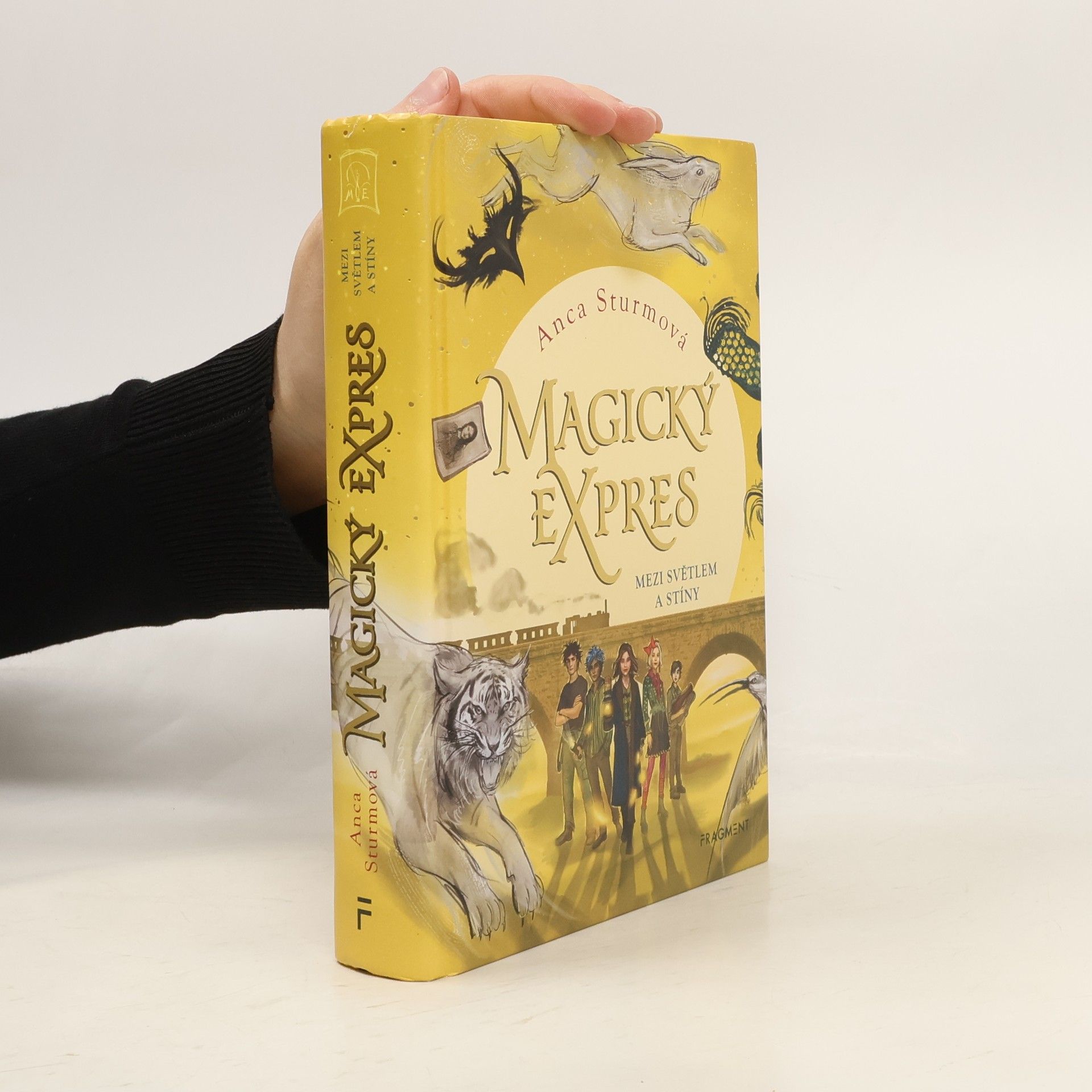 Anca Sturm Mezi světlem a stíny