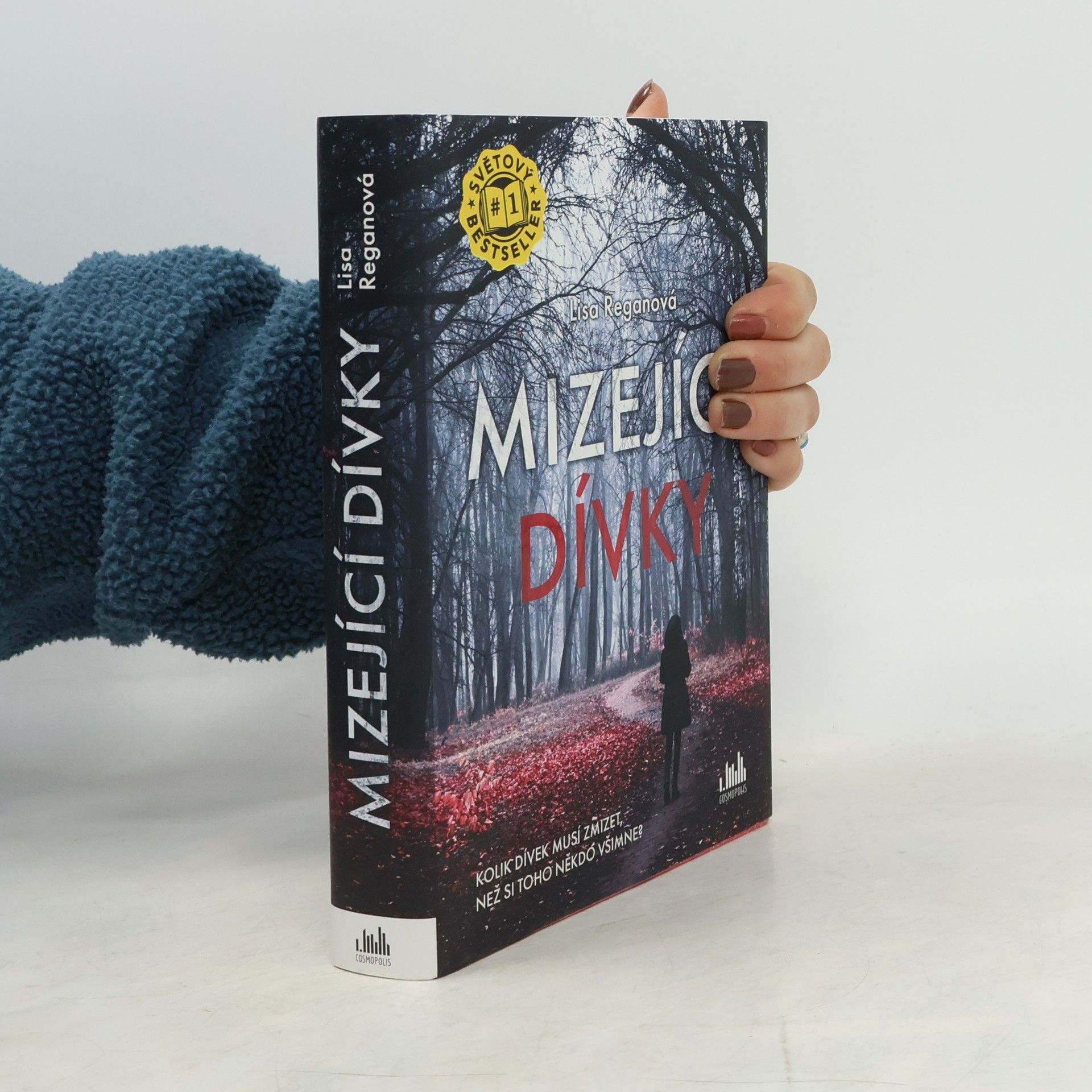 Lisa Regan Mizející dívky