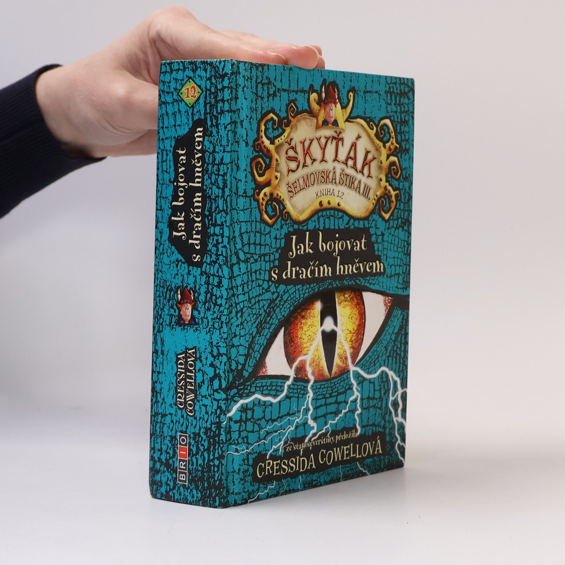 Cressida Cowell Škyťák Šelmovská Štika III. Jak bojovat s dračím hněvem