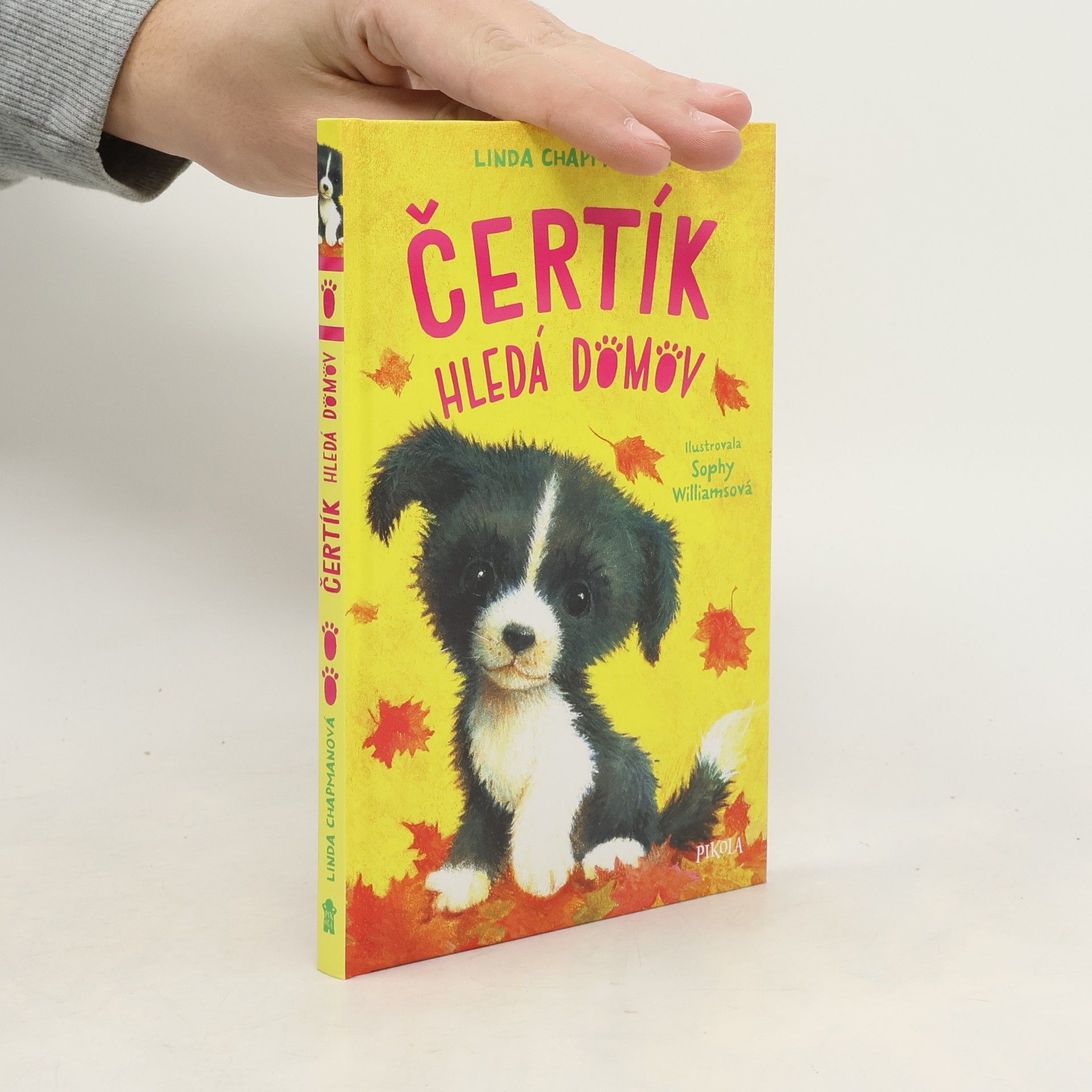 Květa Palowská Čertík hledá domov