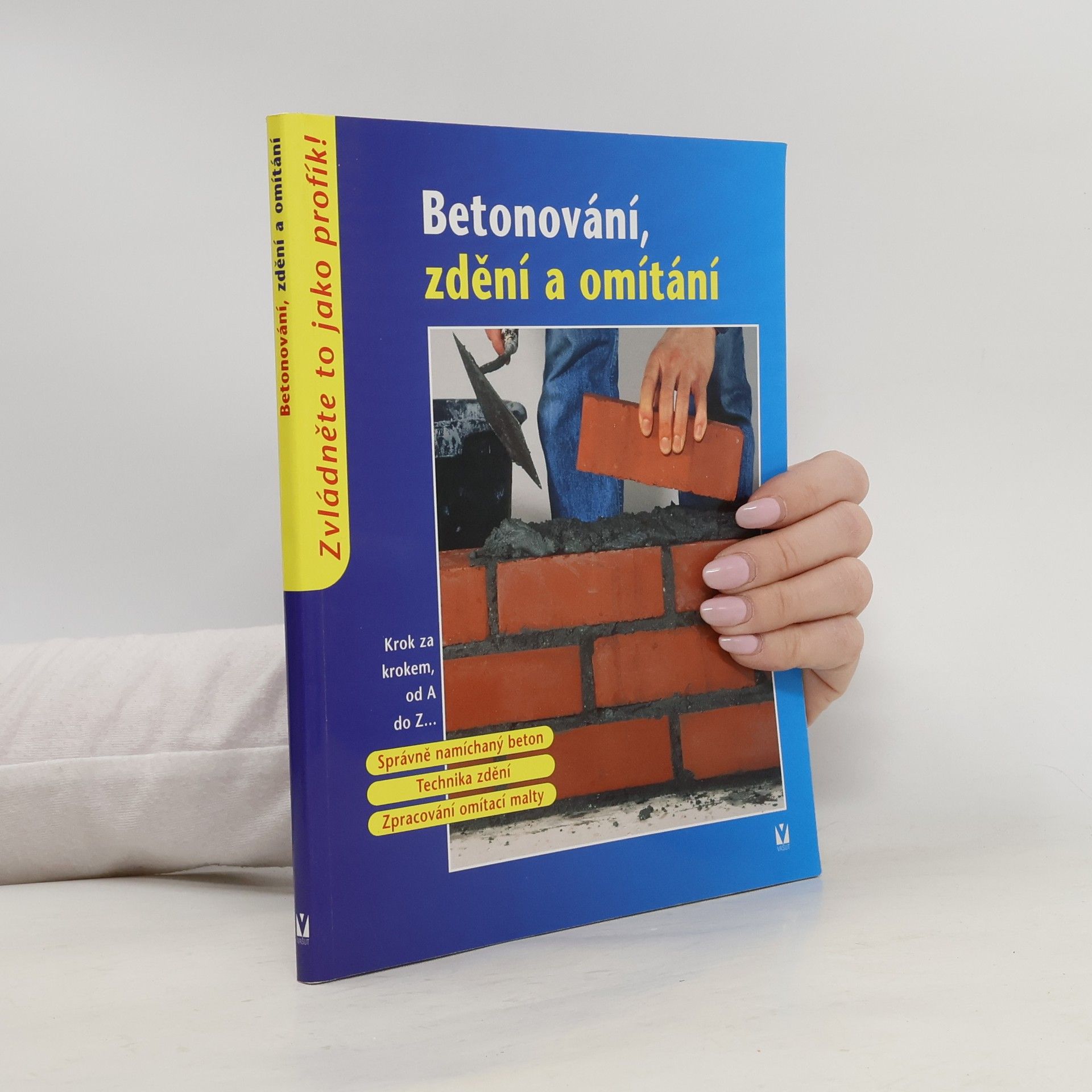 Kolektiv autorů Betonování, zdění a omítání