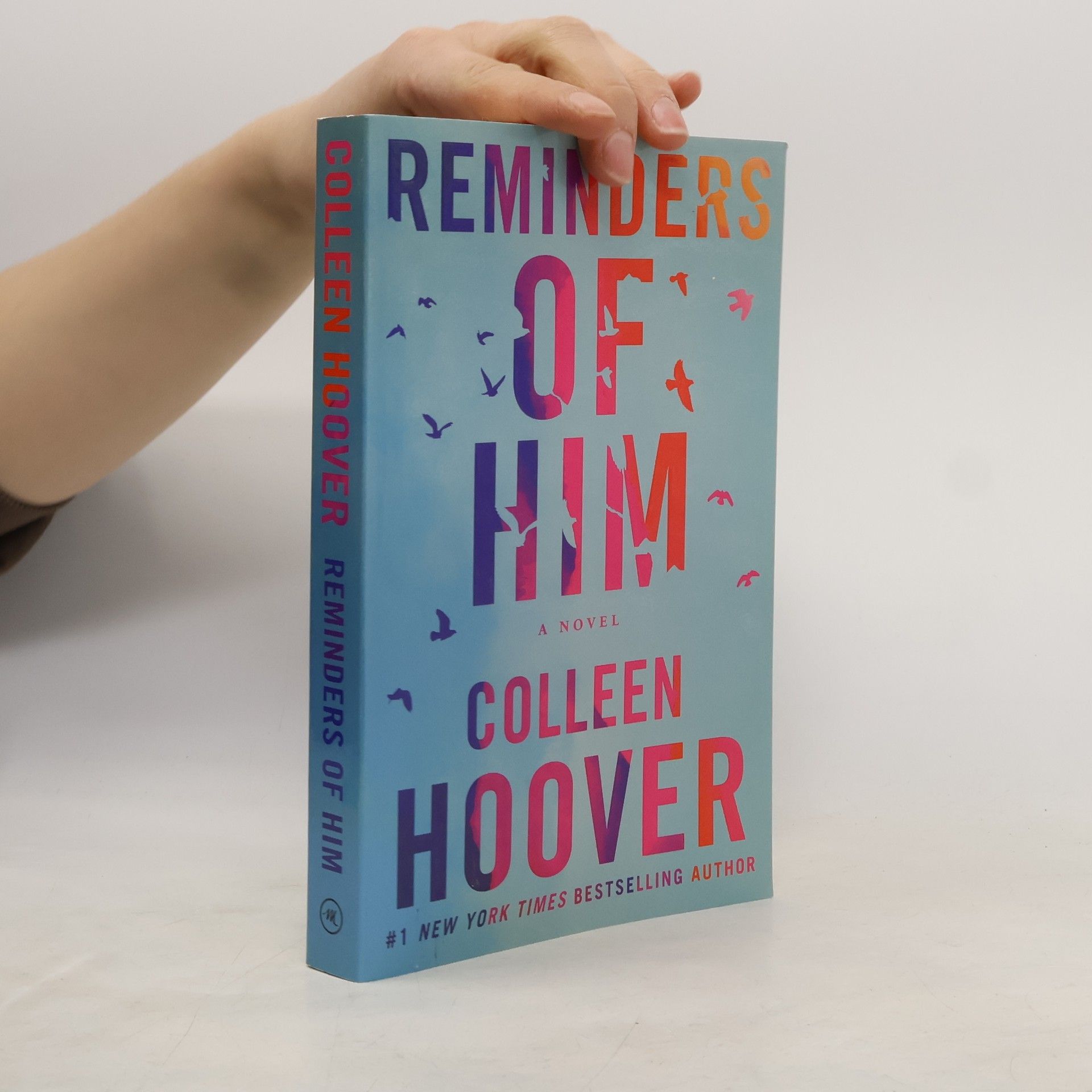 Colleen Hoover Reminders of him
