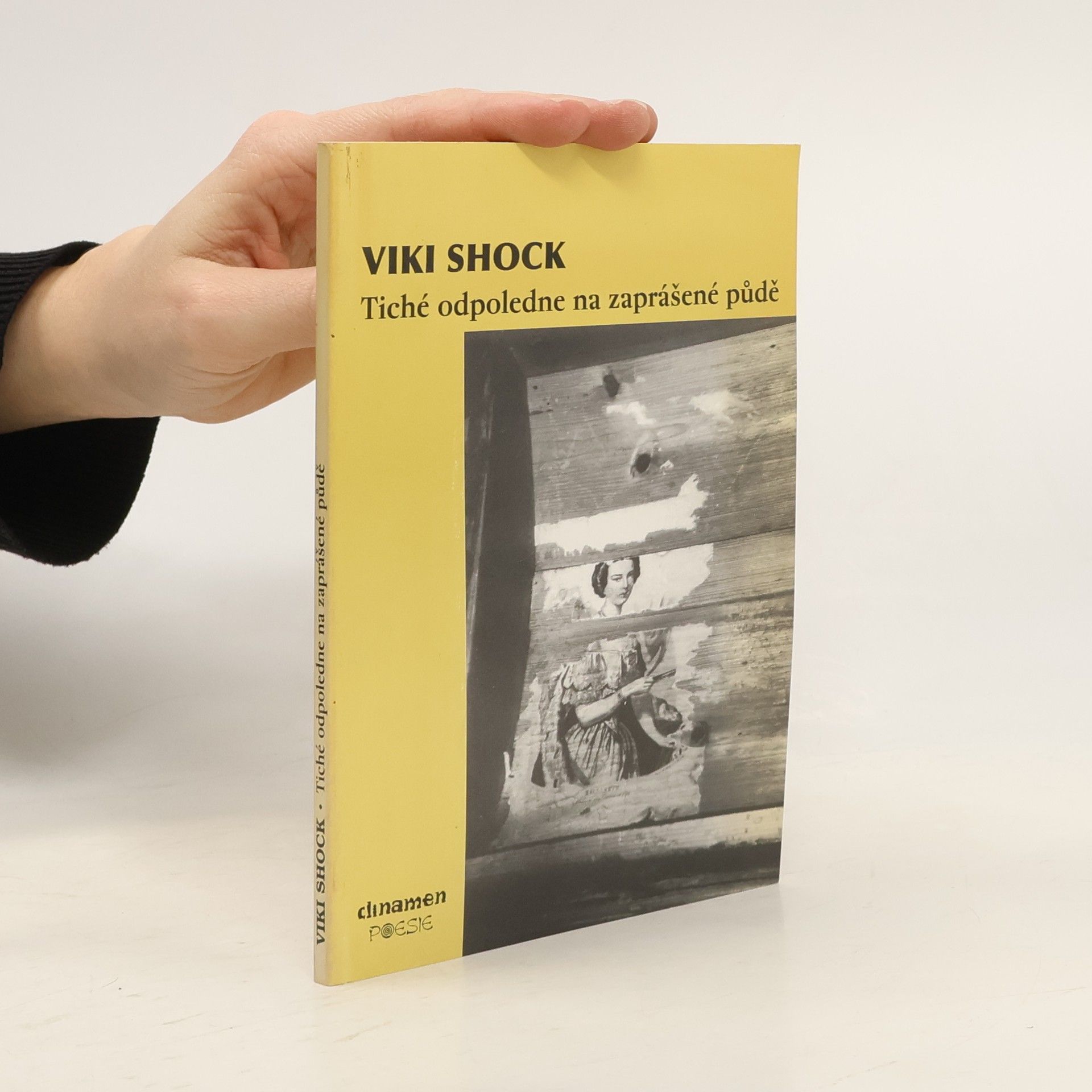 Tiché odpoledne na zaprášené půdě