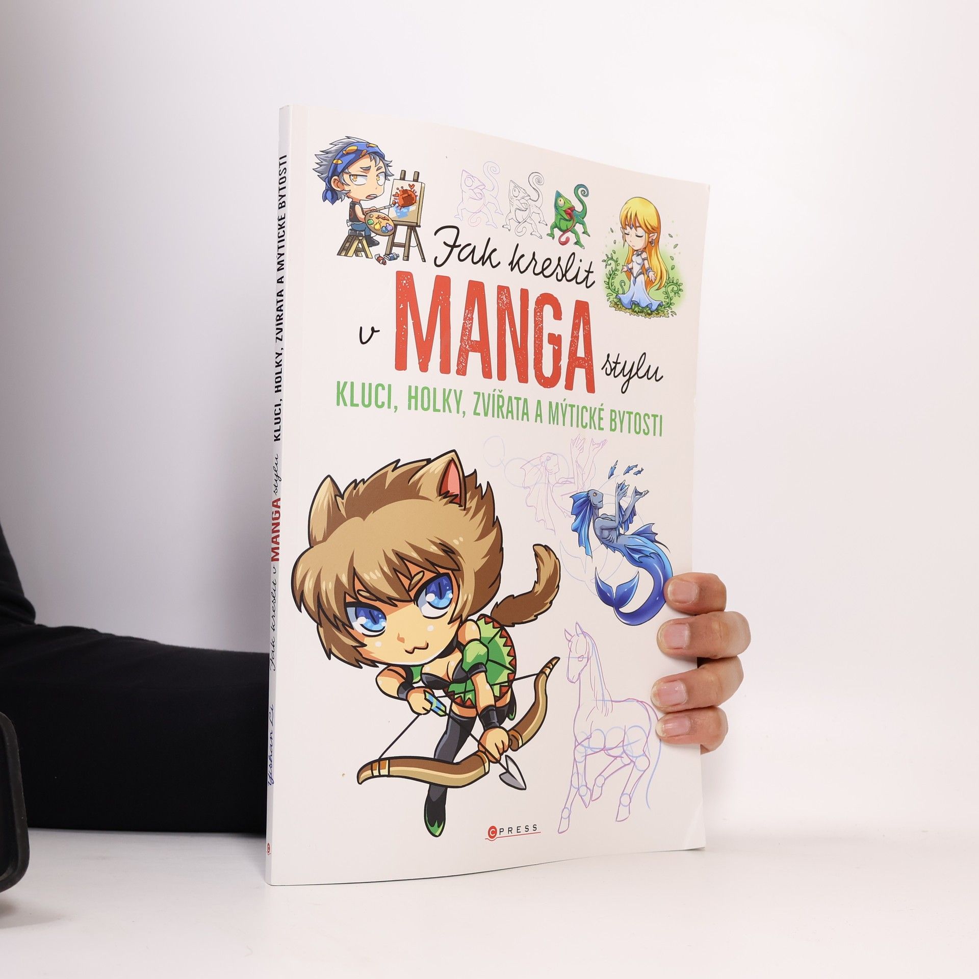 Yishan Li Jak kreslit v manga stylu: Kluci, holky, zvířata a mýtické bytosti