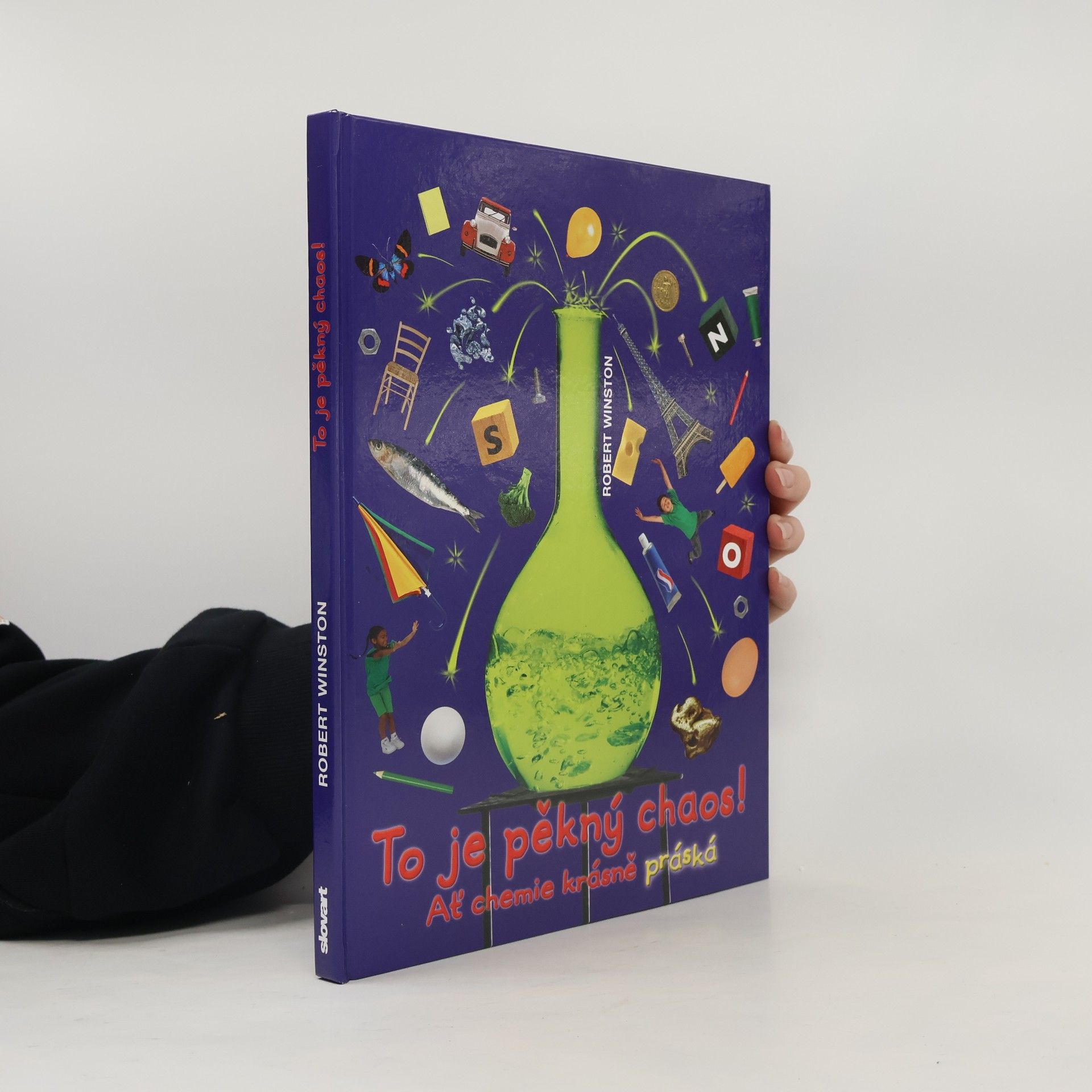 Robert Winston To je pěkný chaos!
