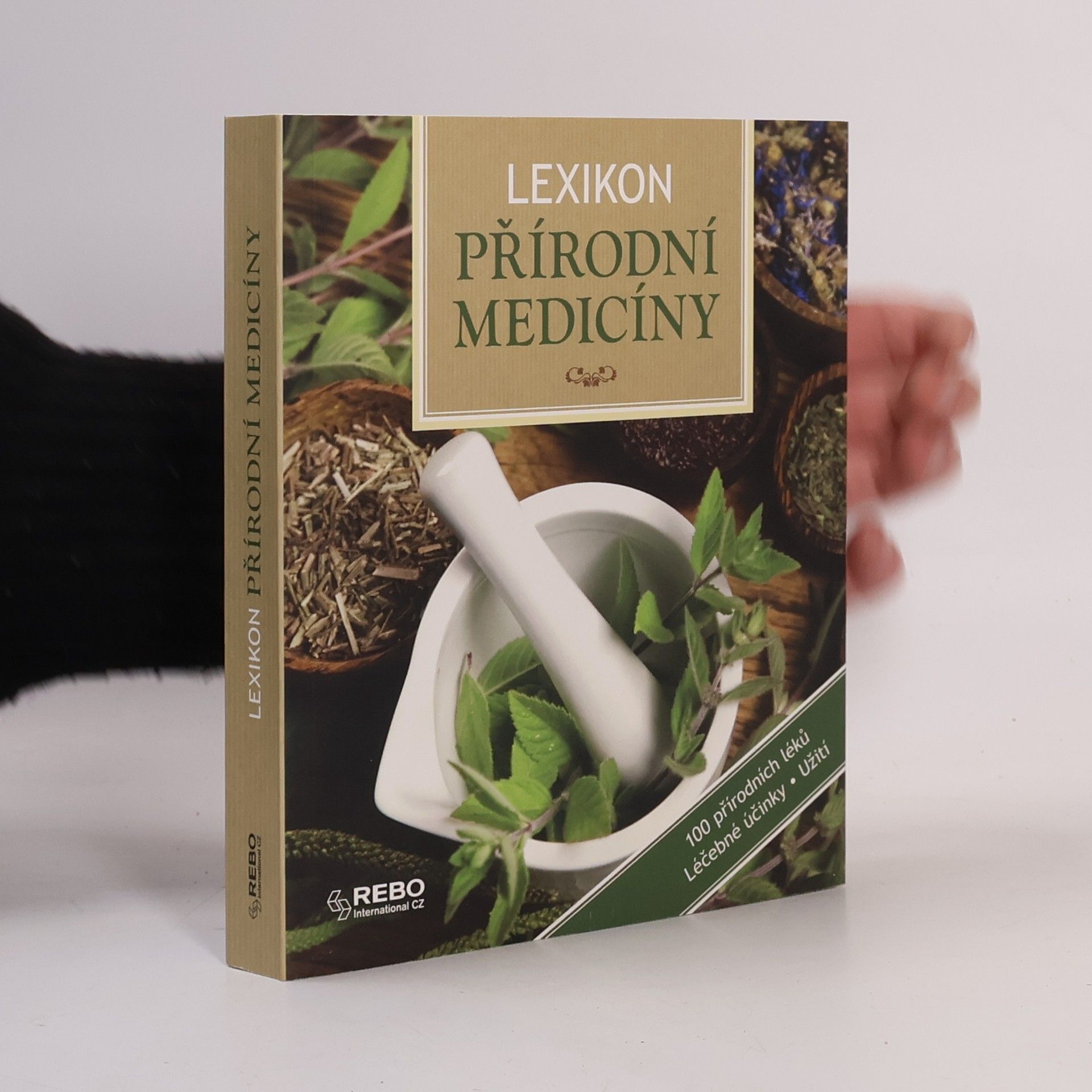 Anne Iburg Lexikon přírodní medicíny