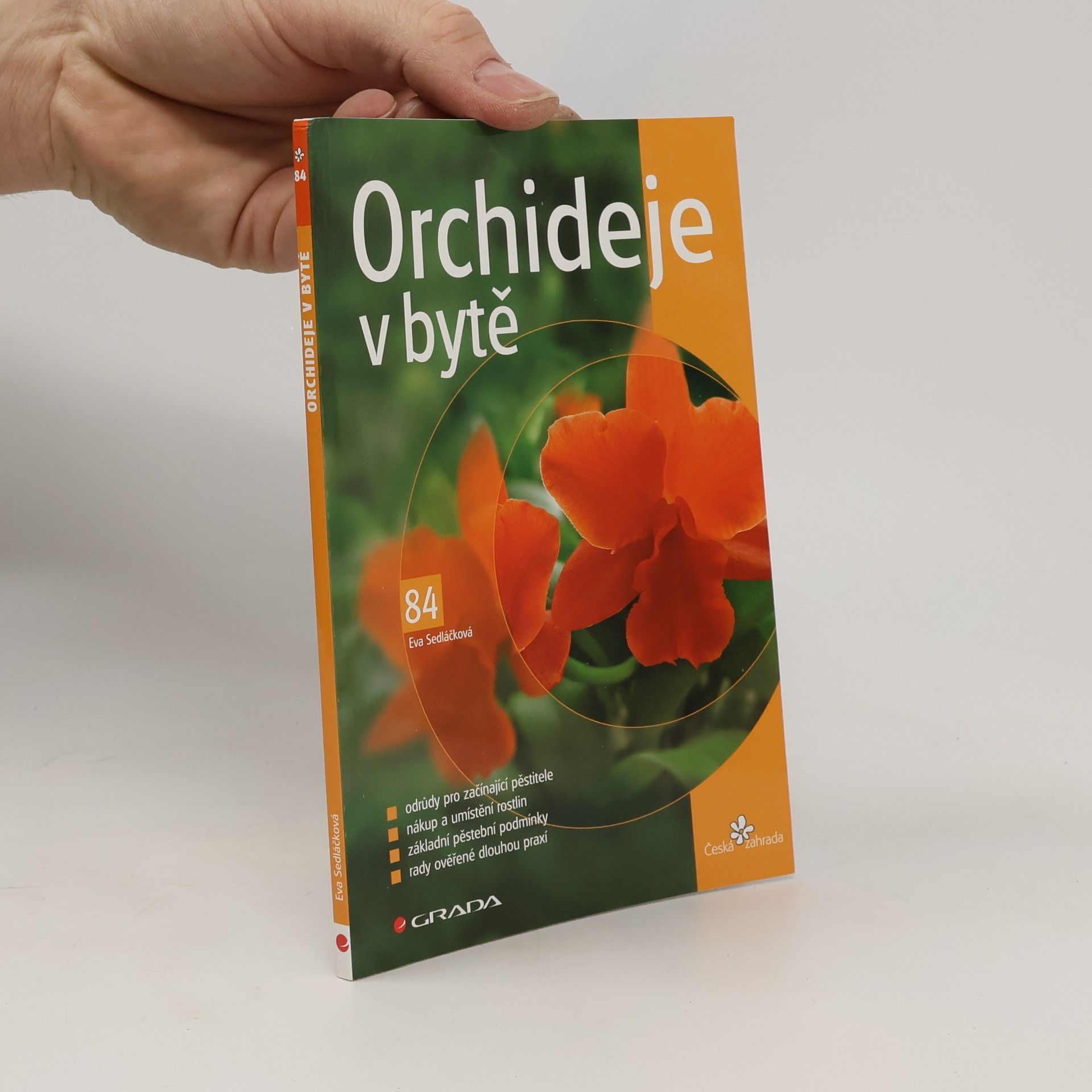 Eva Sedláčková Orchideje v bytě
