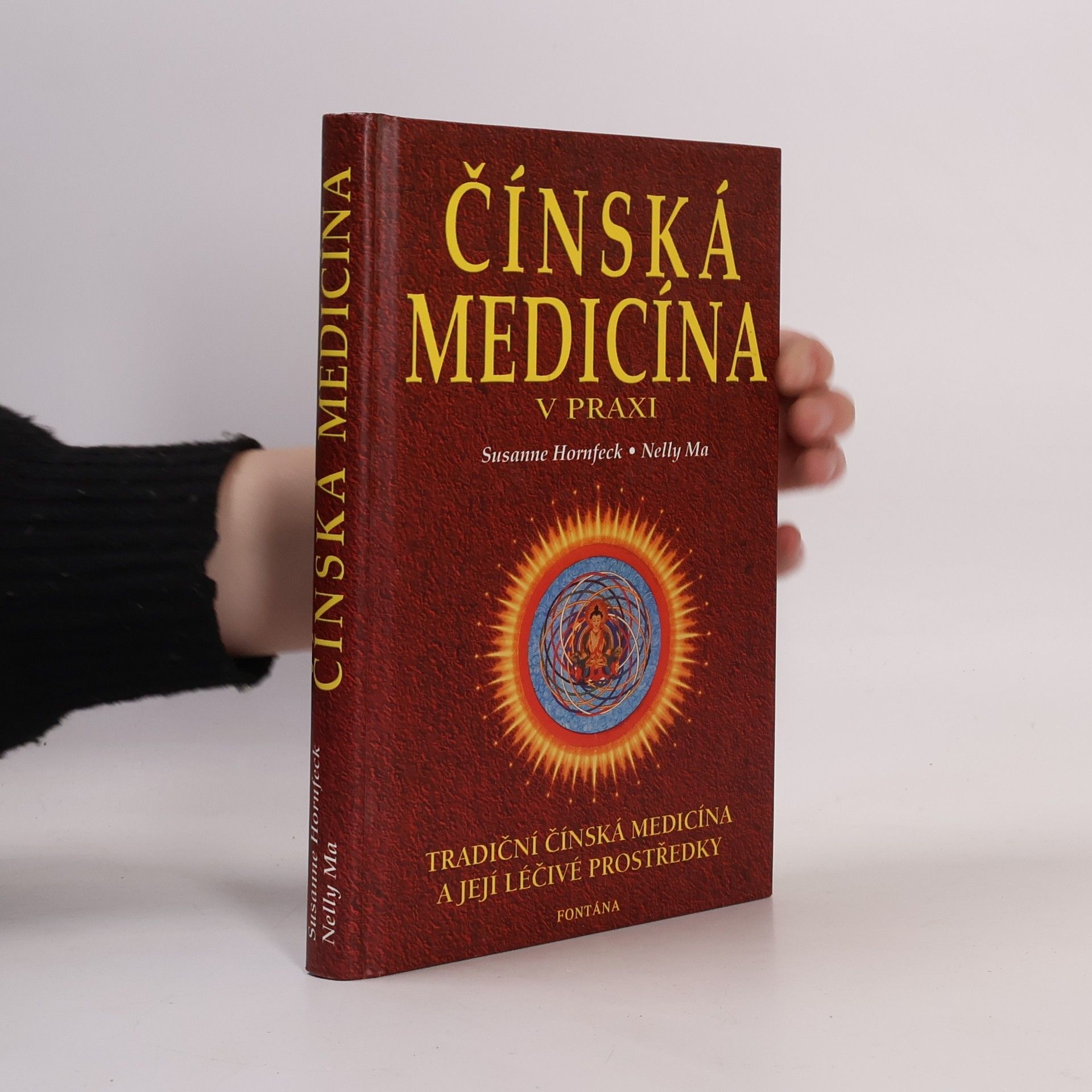 Susanne Hornfeck Čínská medicína v praxi: Masáže a cvičení pro zdraví
