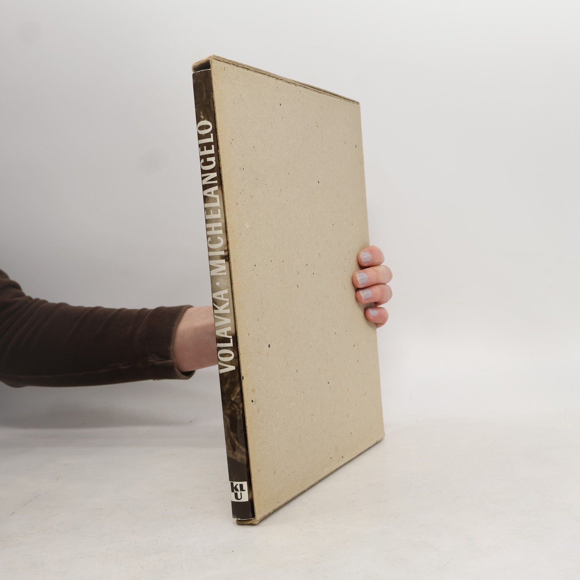 Vojtěch Volavka Michelangelo