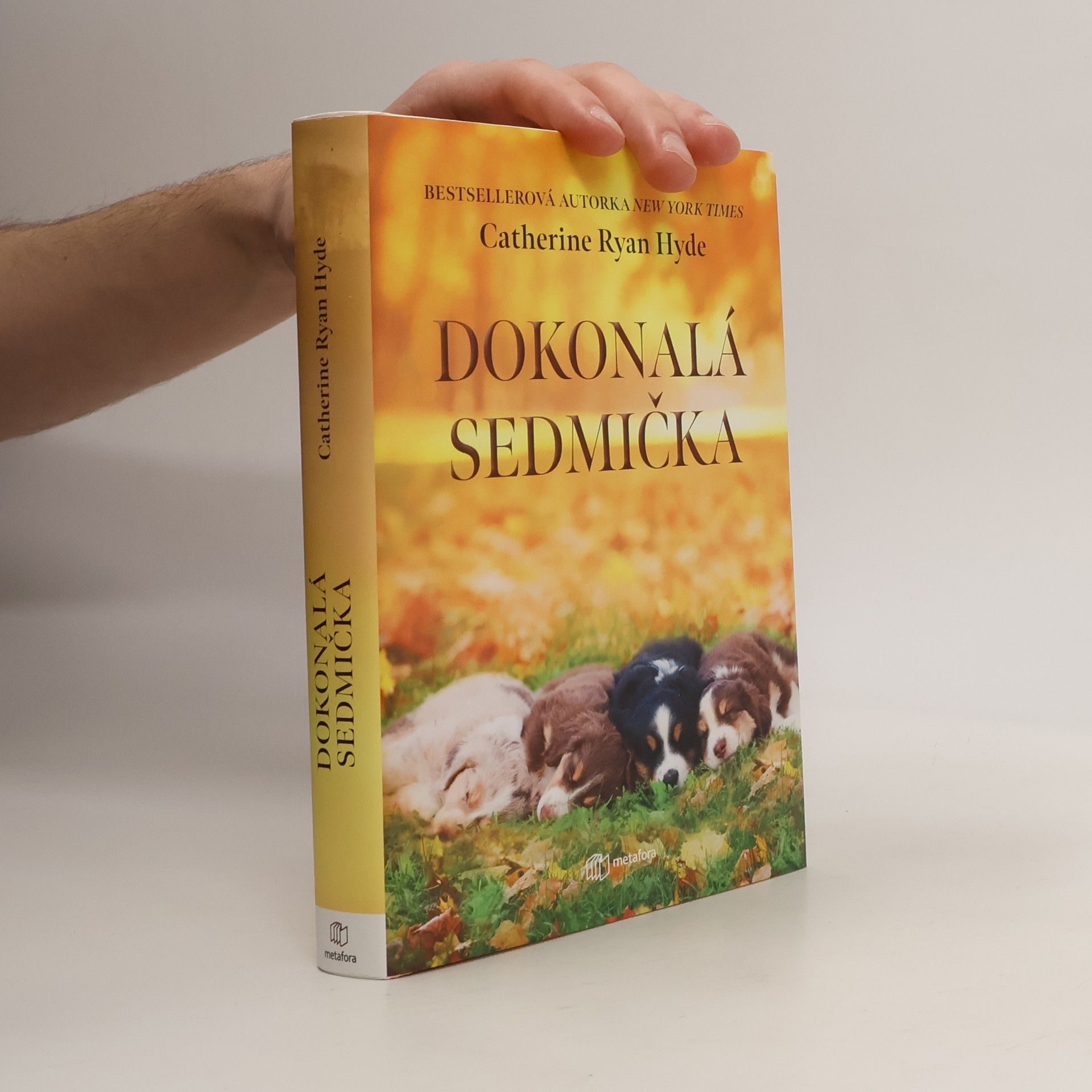 Catherine Ryan Hyde Dokonalá sedmička