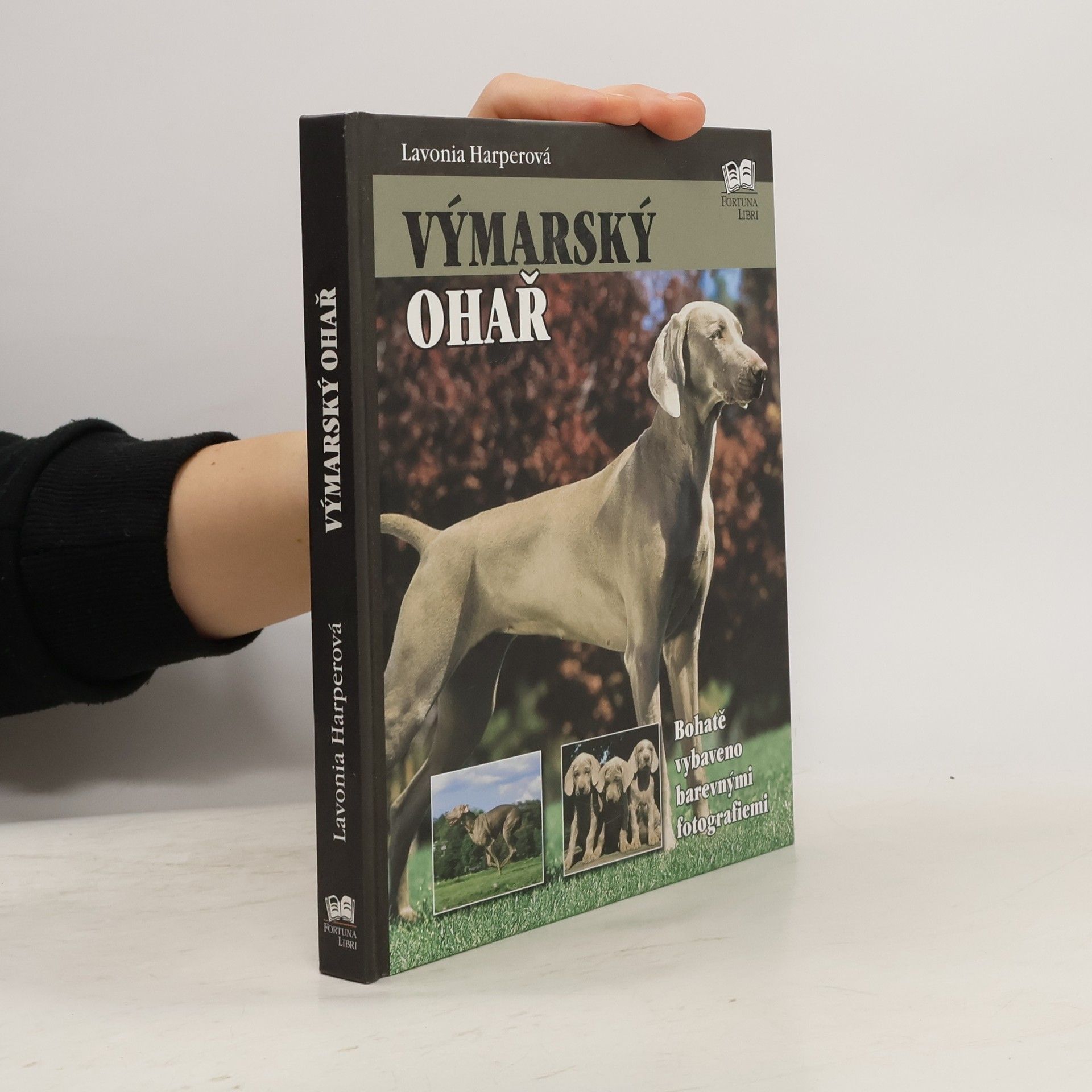 Lavonia Harper Výmarský ohař