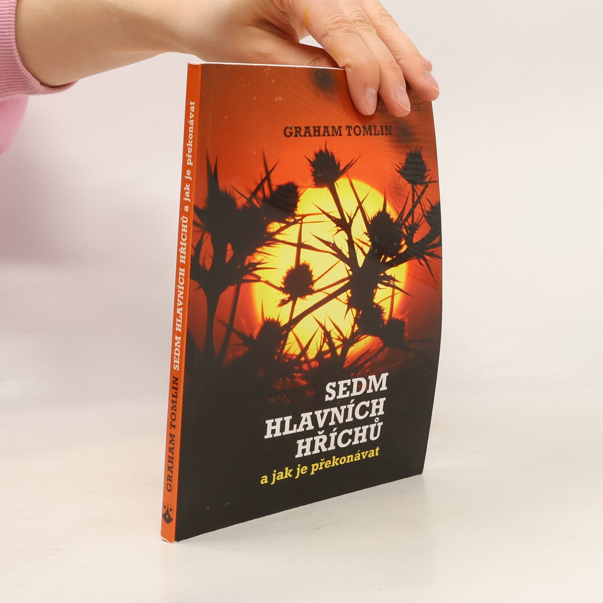 Sedm hlavních hříchů a jak je překonávat