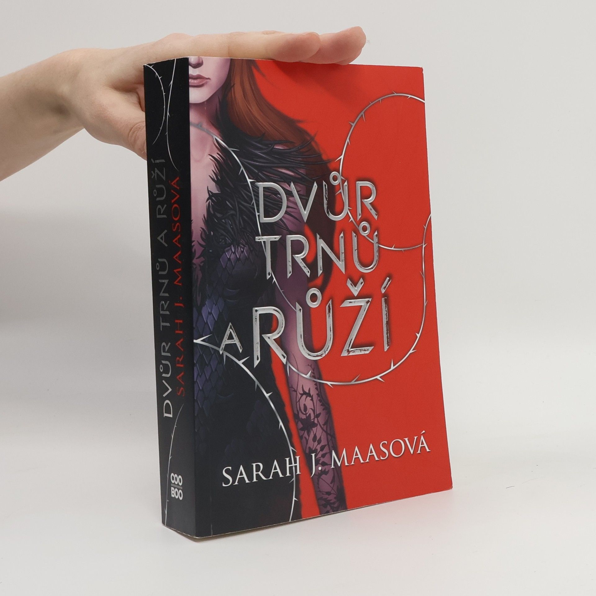 Sarah J. Maas Dvůr trnů a růží