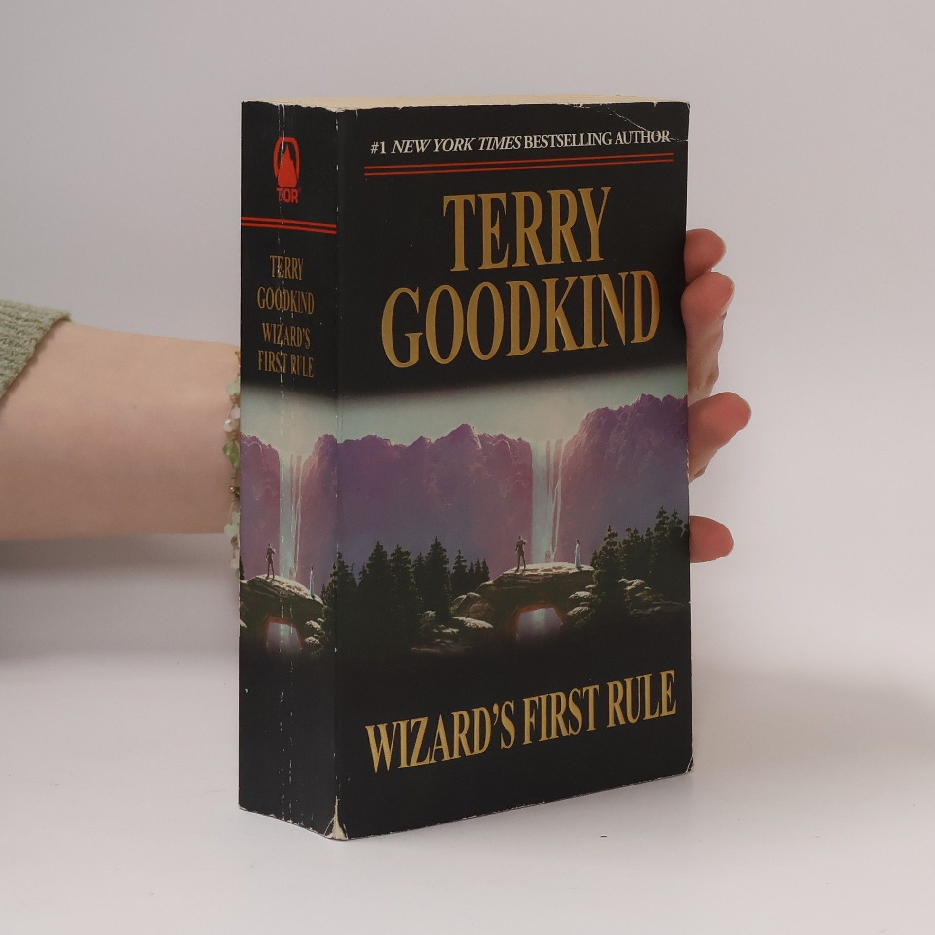 Terry Goodkind Wizard's First Rule