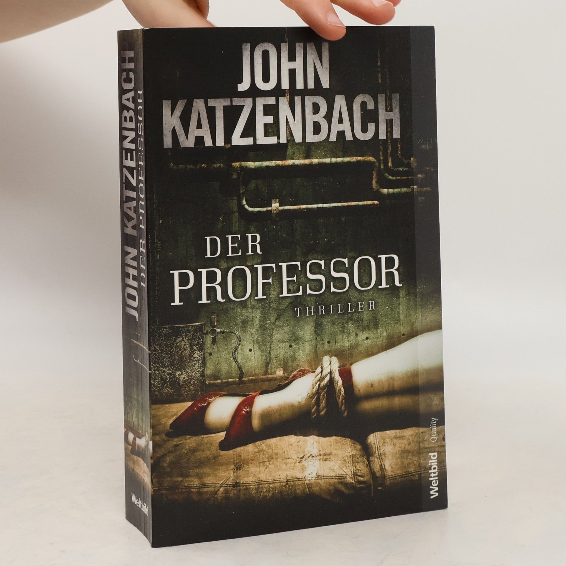 John Katzenbach Der Professor