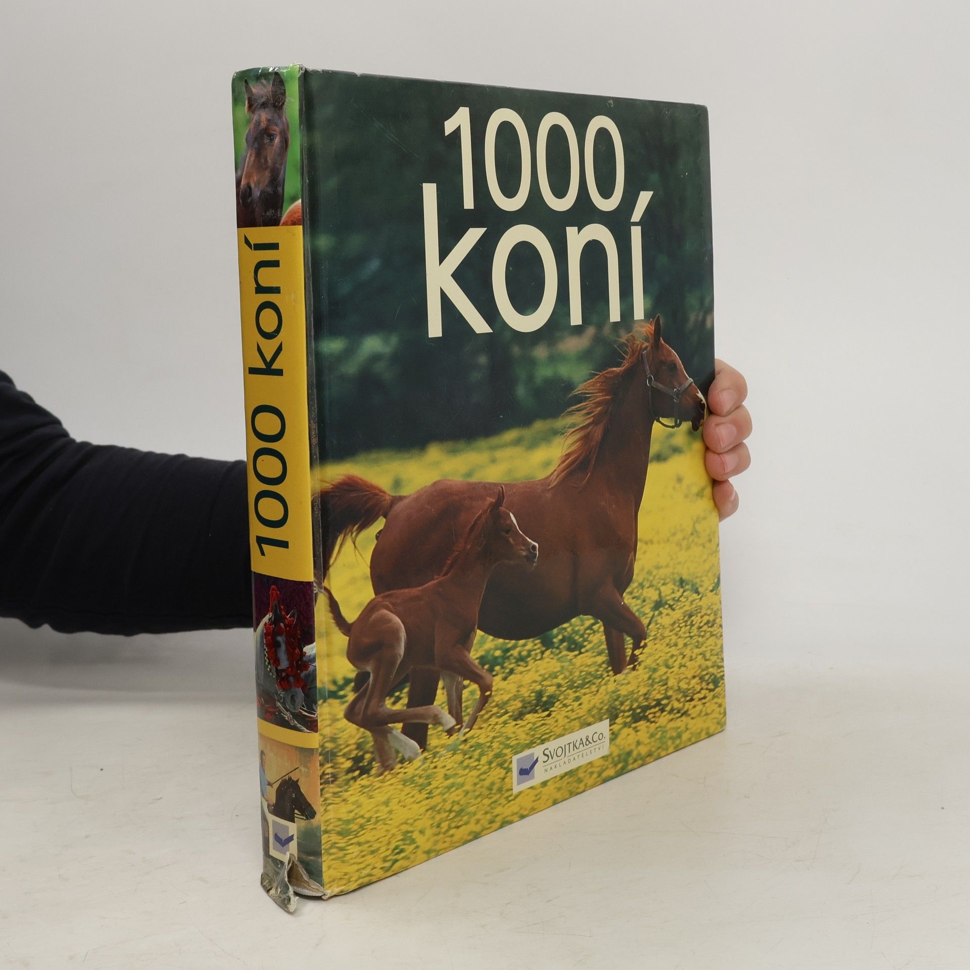 Ulrike Schöber 1000 koní