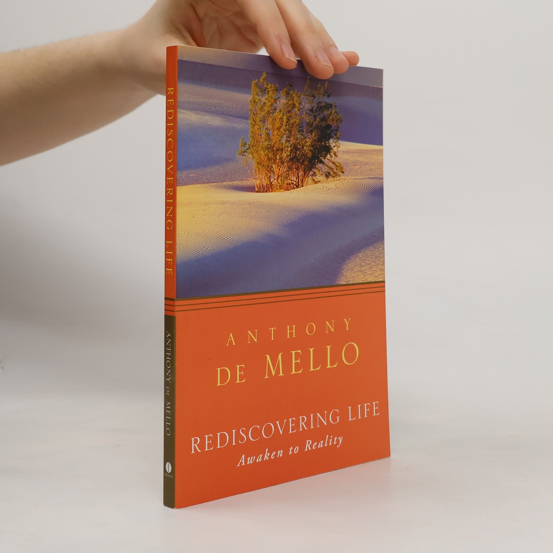 Anthony de Mello Rediscovering Life