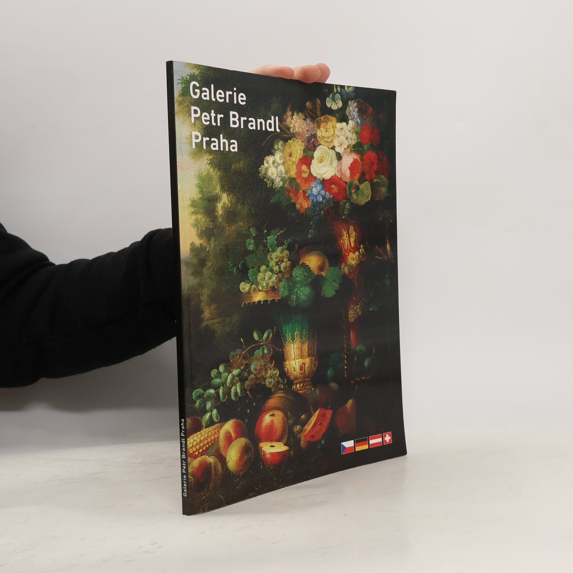 Isabela Kinská Galerie Petr Brandl