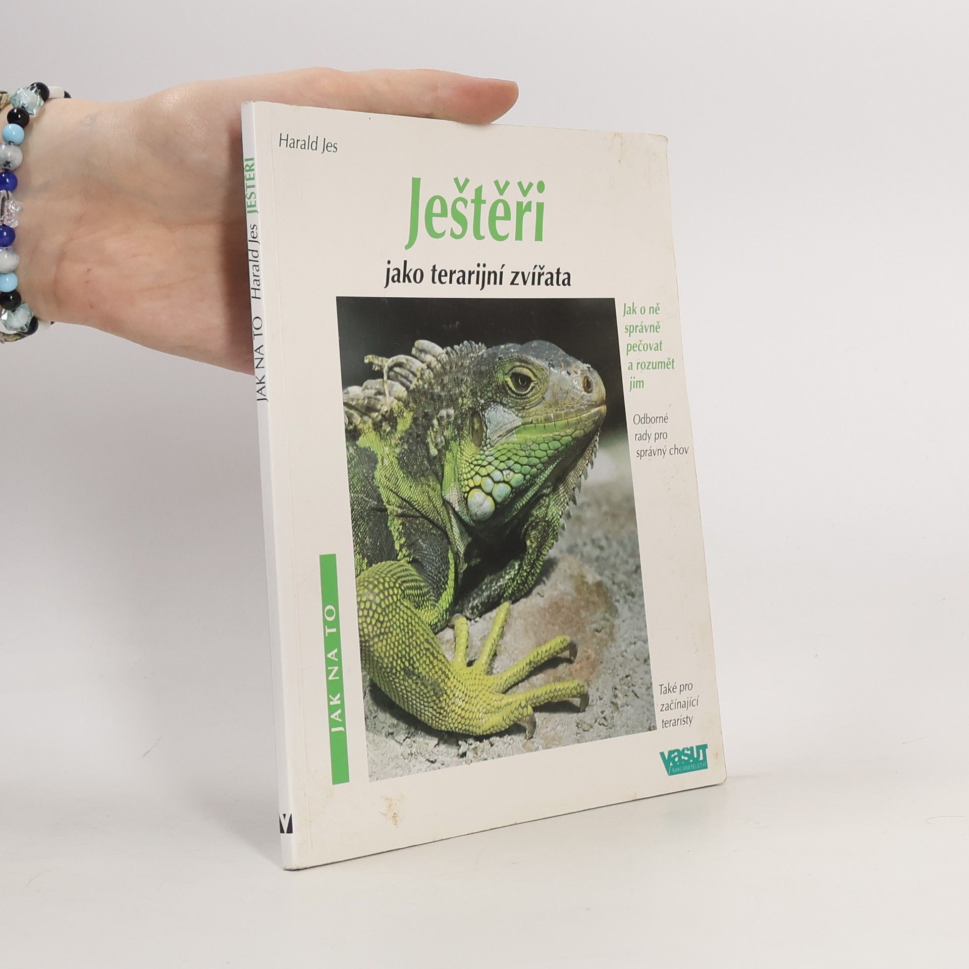 Ještěři jako terarijní zvířata