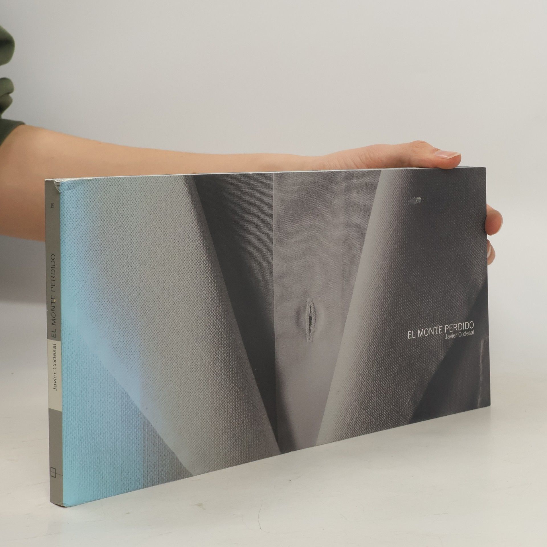 Javier Codesal El monte perdido