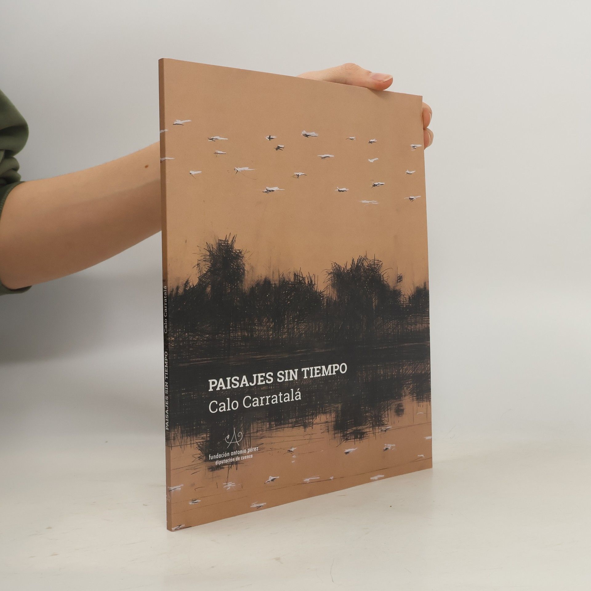 Calo Carratalá Paisajes sin tiempo