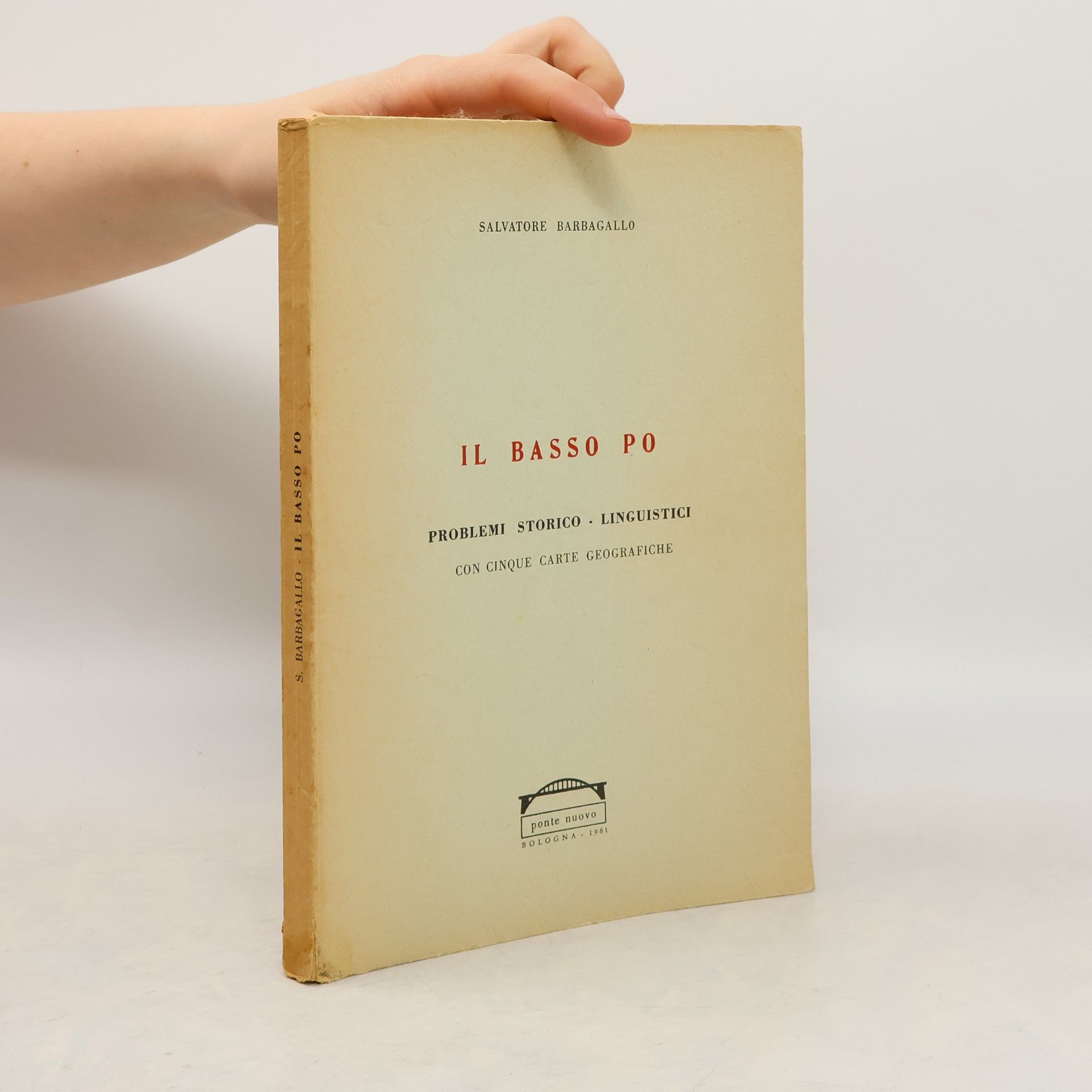 Salvatore Barbagallo Il Basso Po