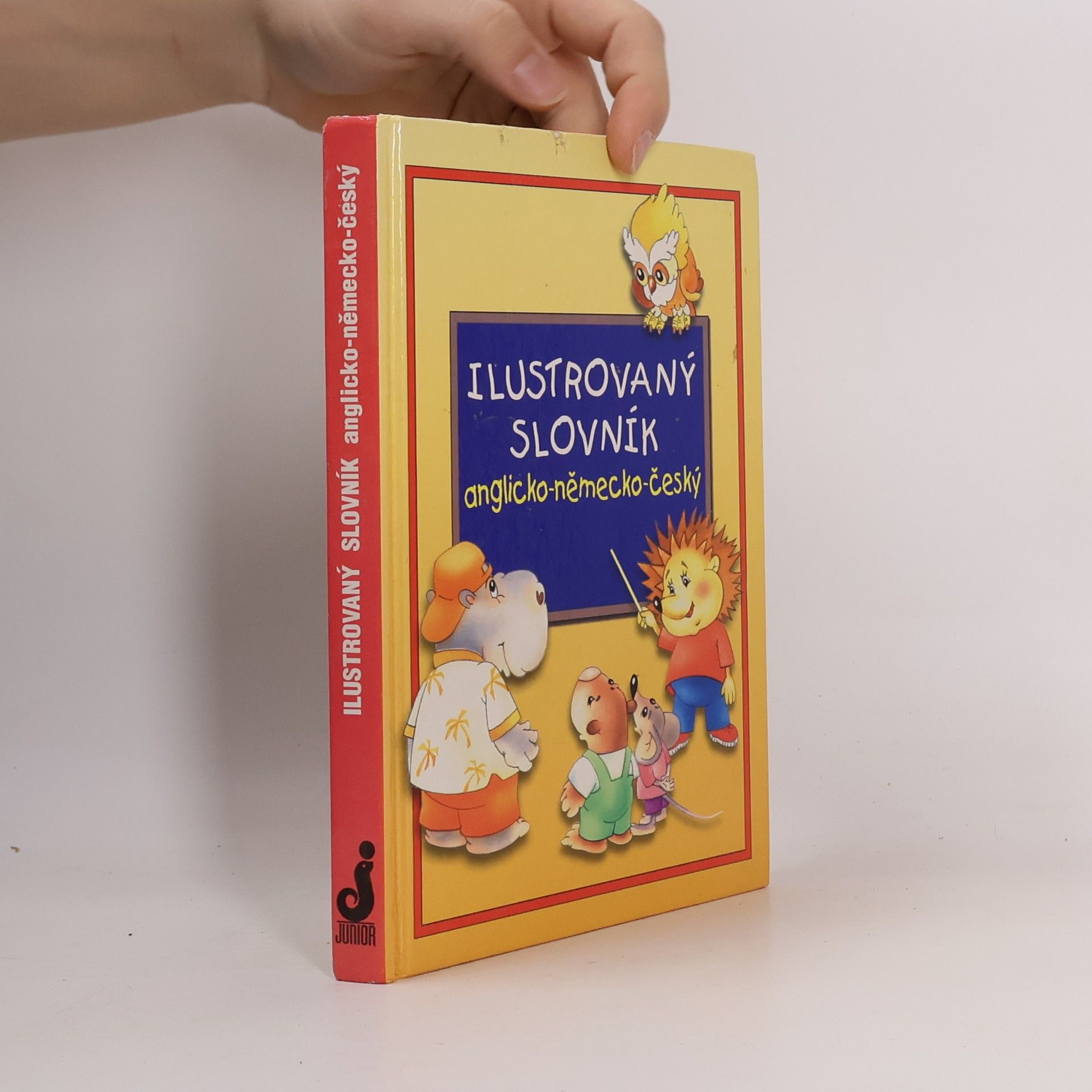 Alena Amchová Ilustrovaný slovník anglicko-německo-český