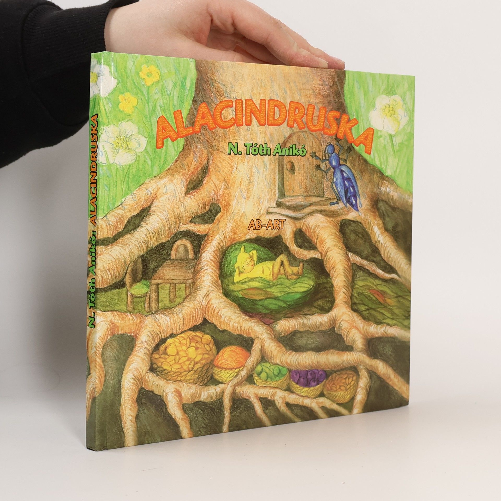 Anikó N.Tóth Alcindruska