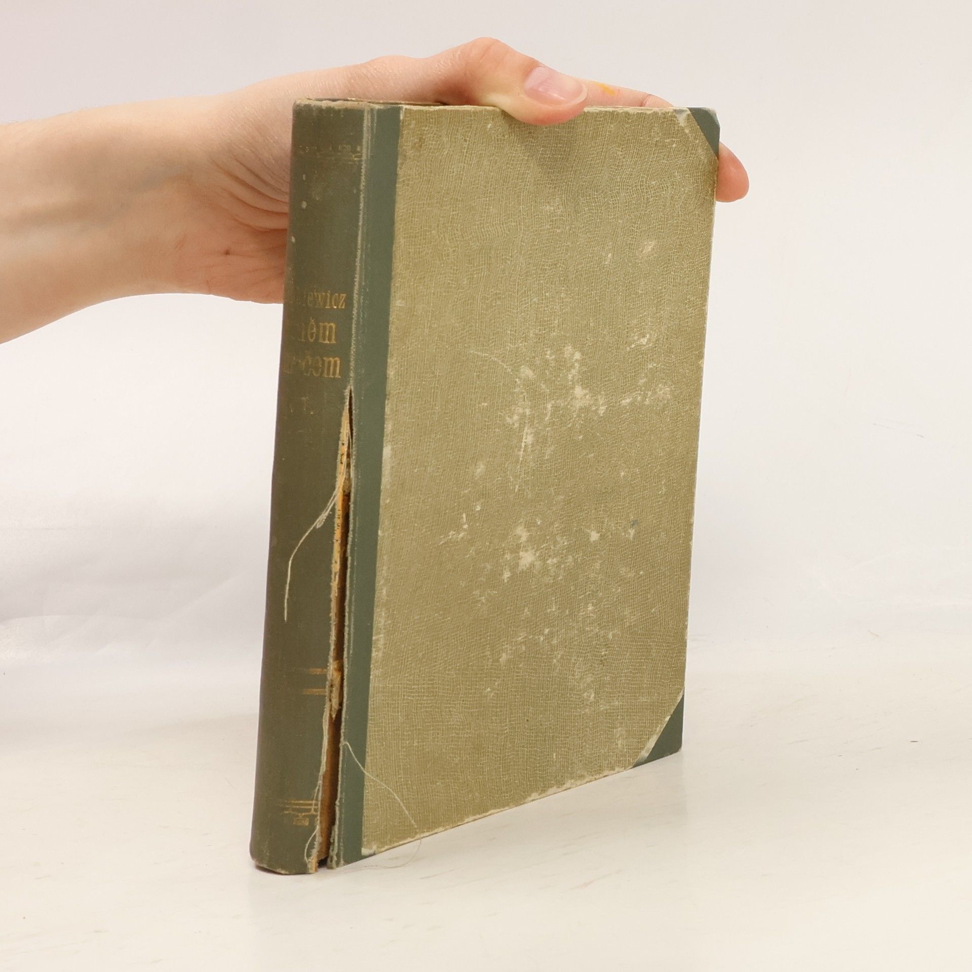 Henryk Sienkiewicz Ohněm i mečem IV.