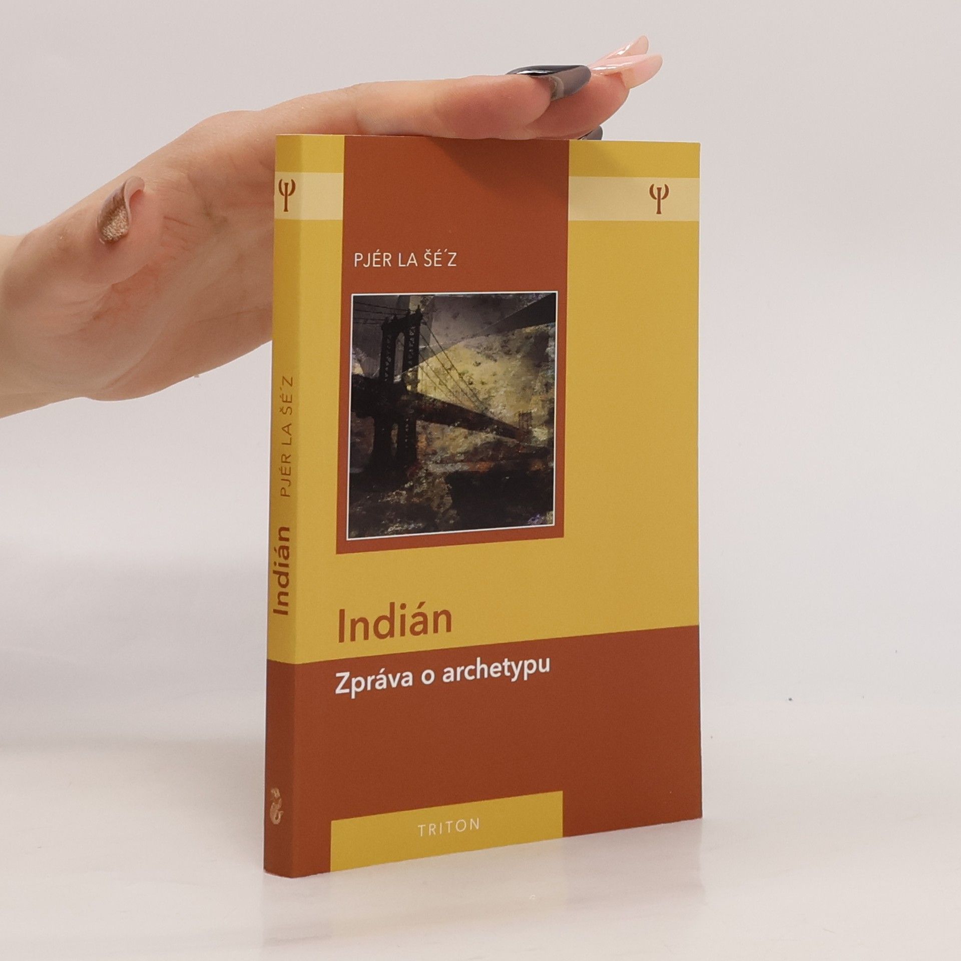 Pjér la Šéz Indián: Zpráva o archetypu