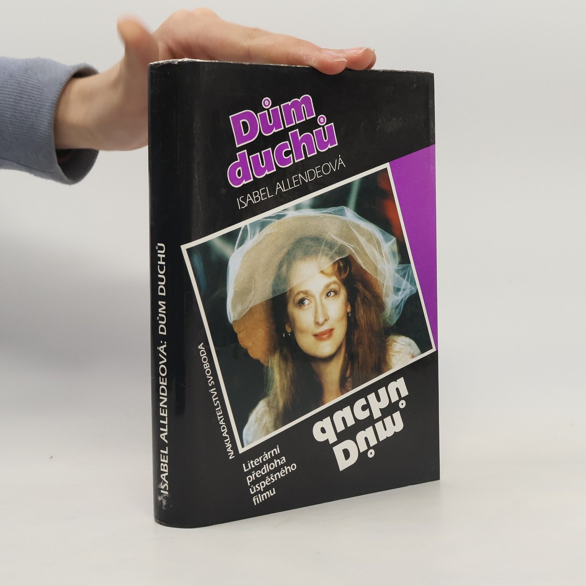 Isabel Allende Llona Dům duchů