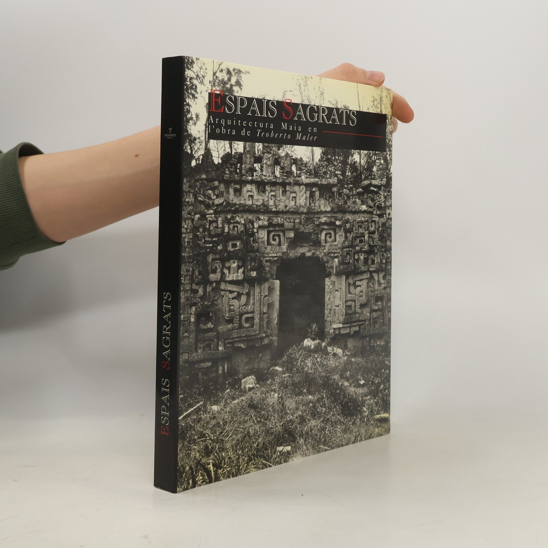 Norberto Piqueras Sánchez Espais sagrats