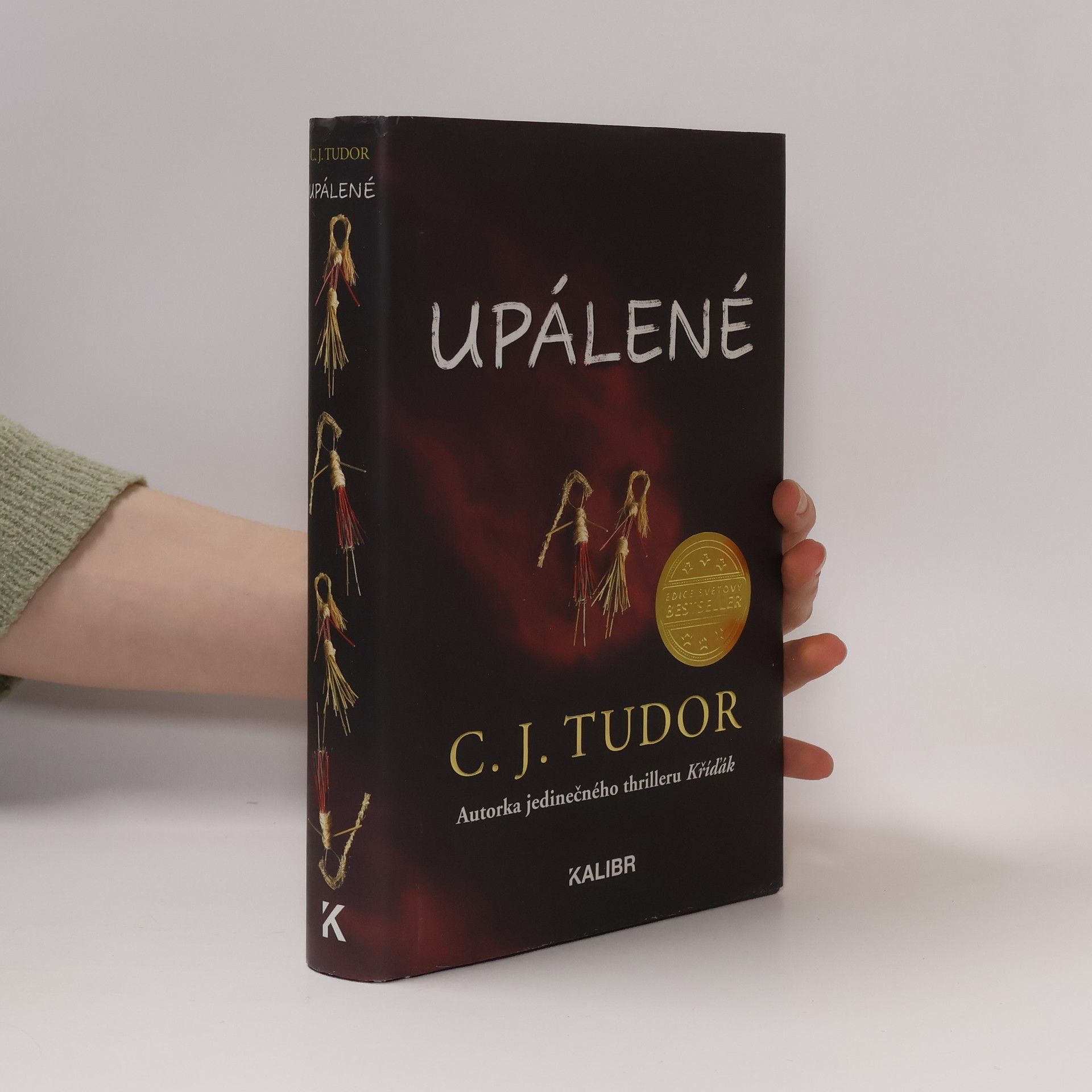 C.J. Tudor Upálené