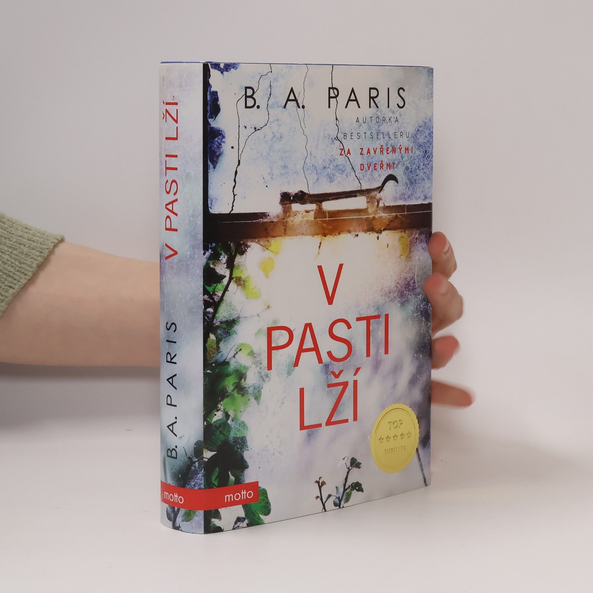 B. A. Paris V pasti lží