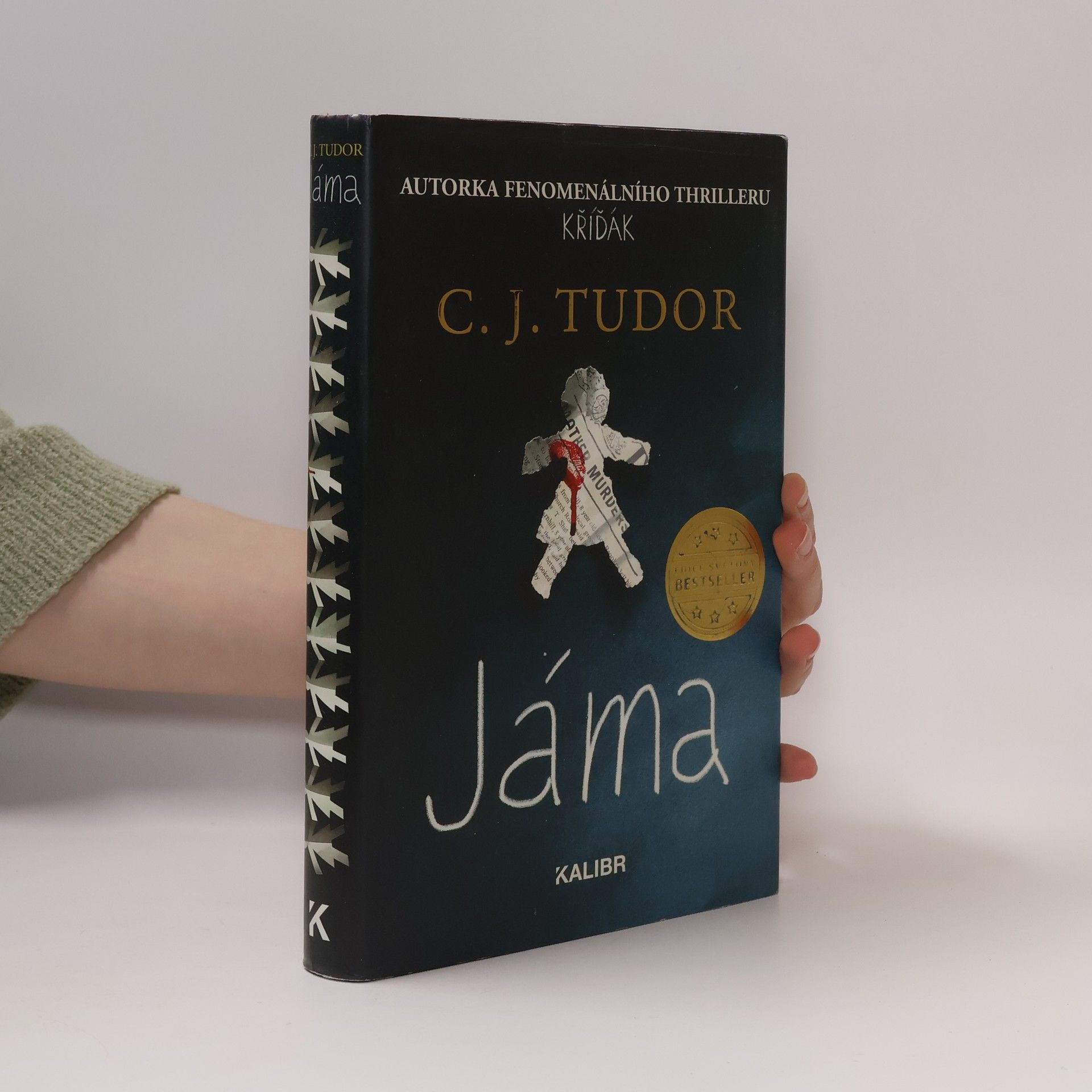 C. J. Tudor Jáma