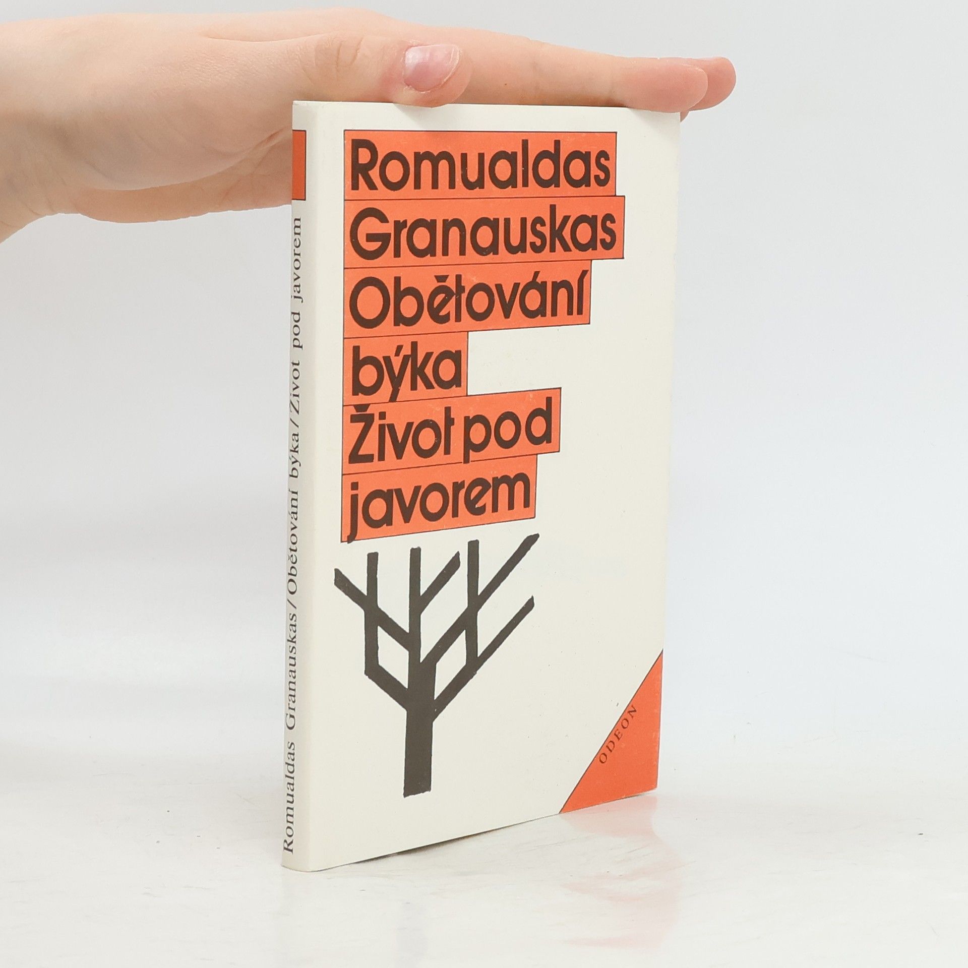 Obětování býka; Život pod javorem