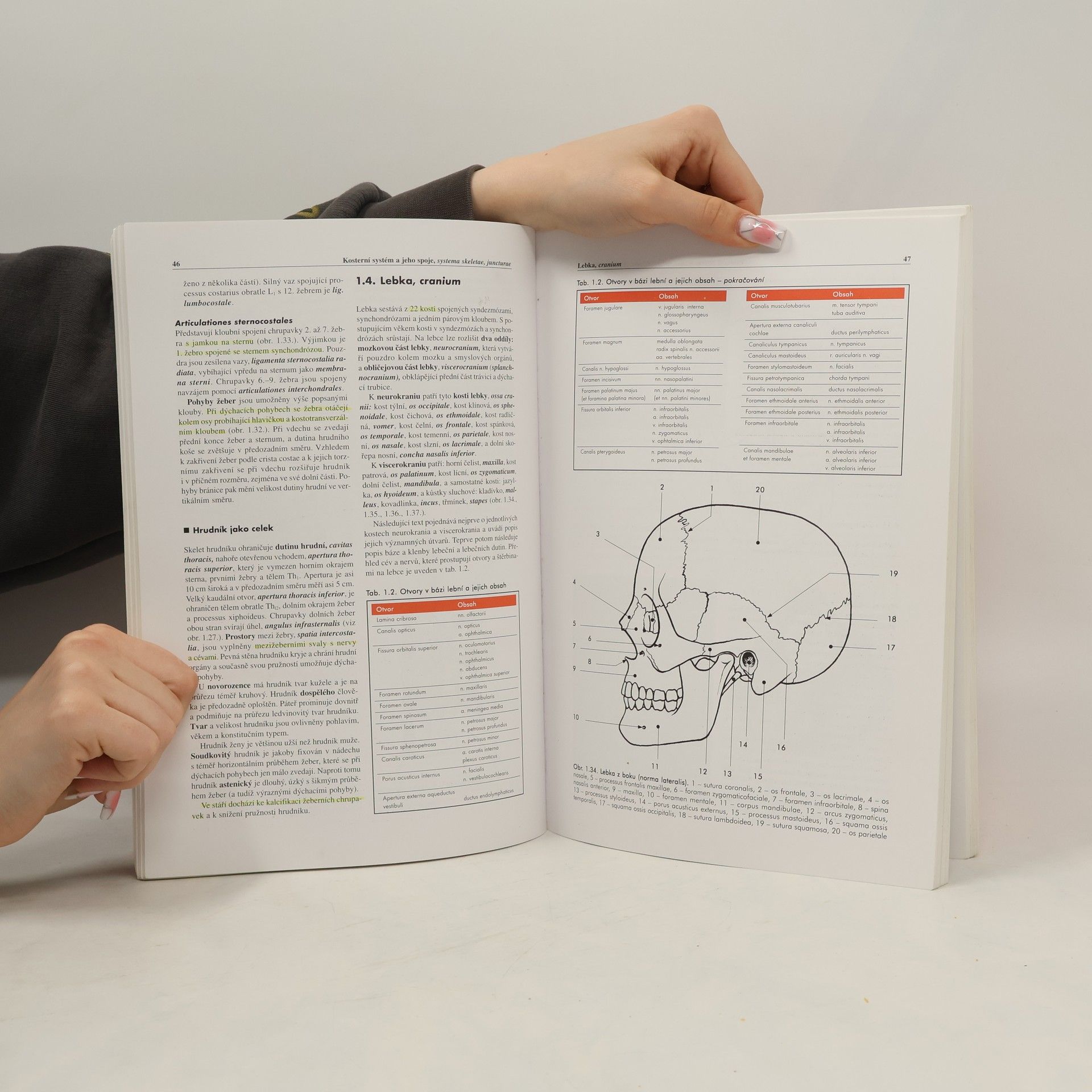 Miloš Grim Základy anatomie 1. Obecná anatomie a pohybový systém