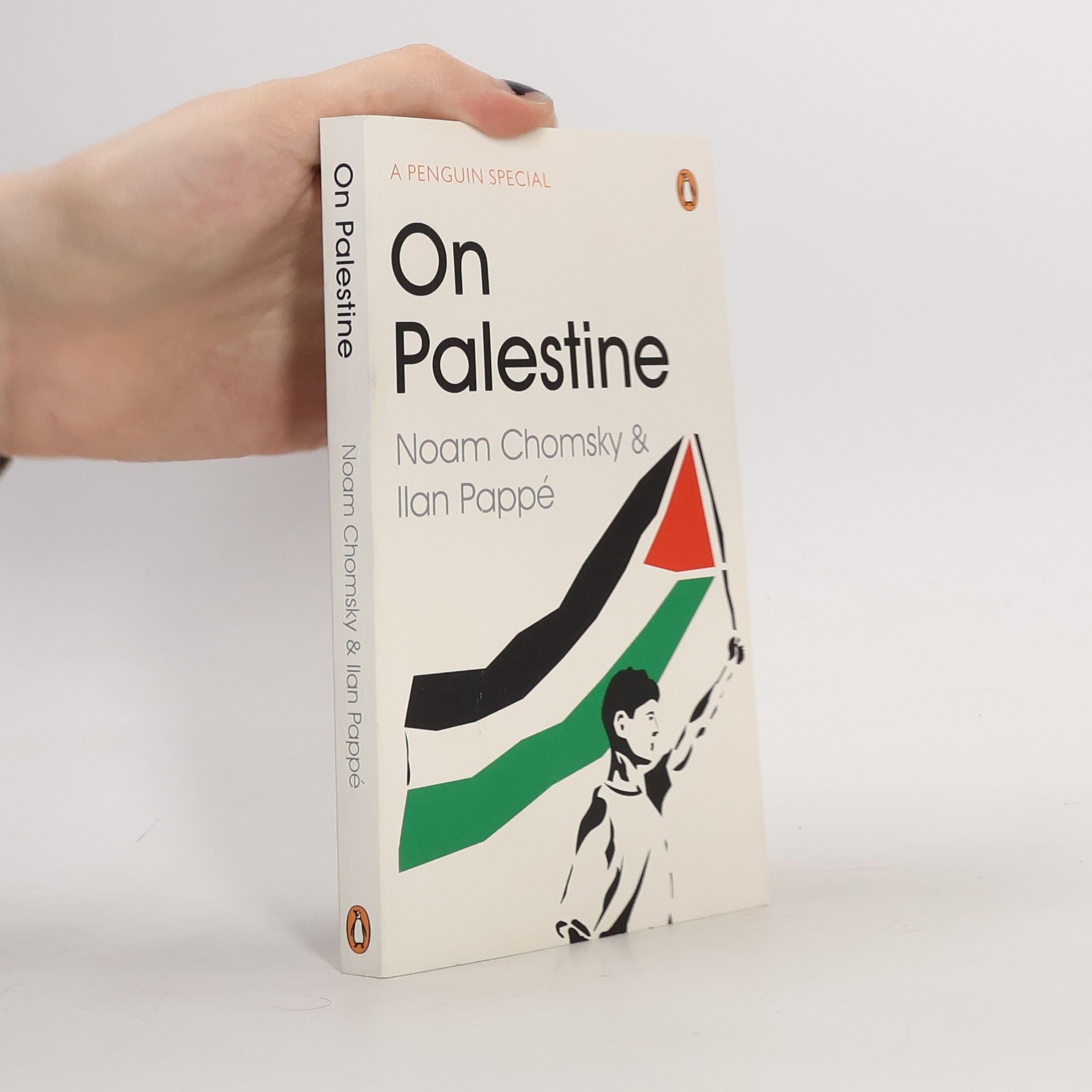 Noam Chomsky On Palestine