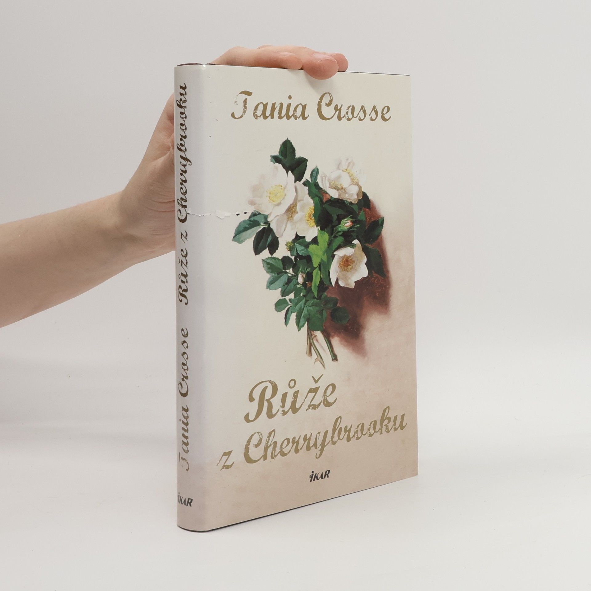 Crosse Tania Růže z Cherrybrooku