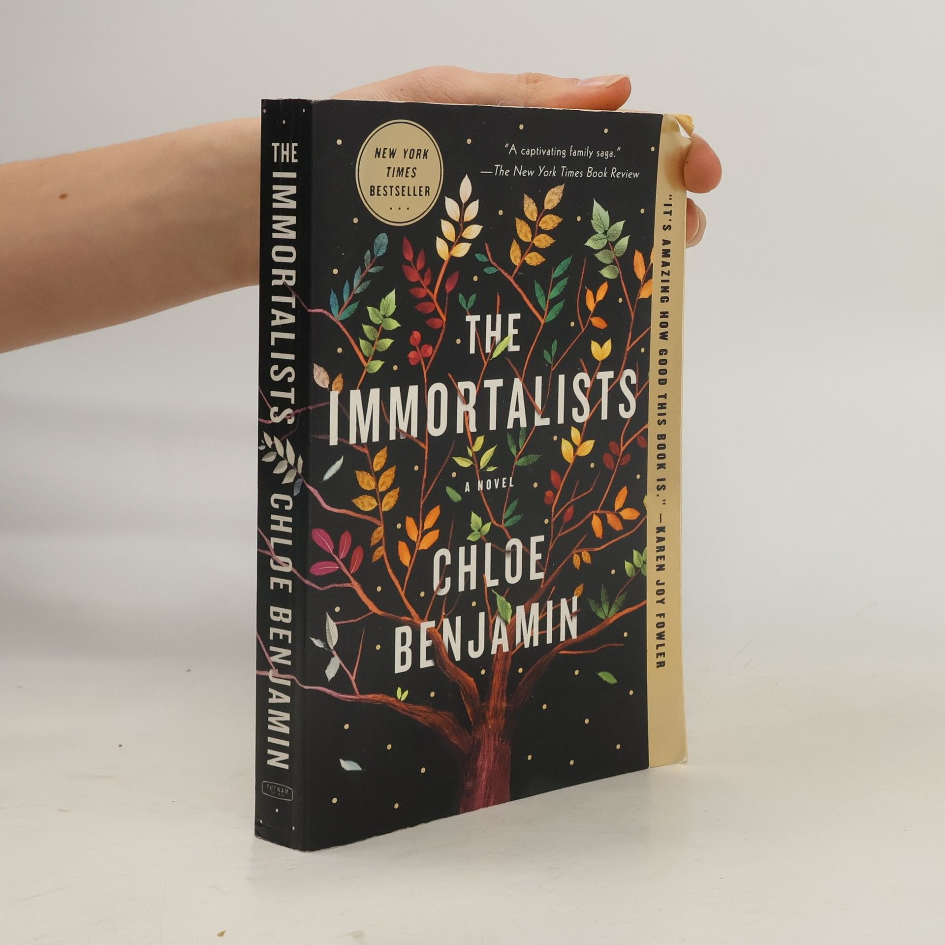Chloe Benjamin The Immortalists
