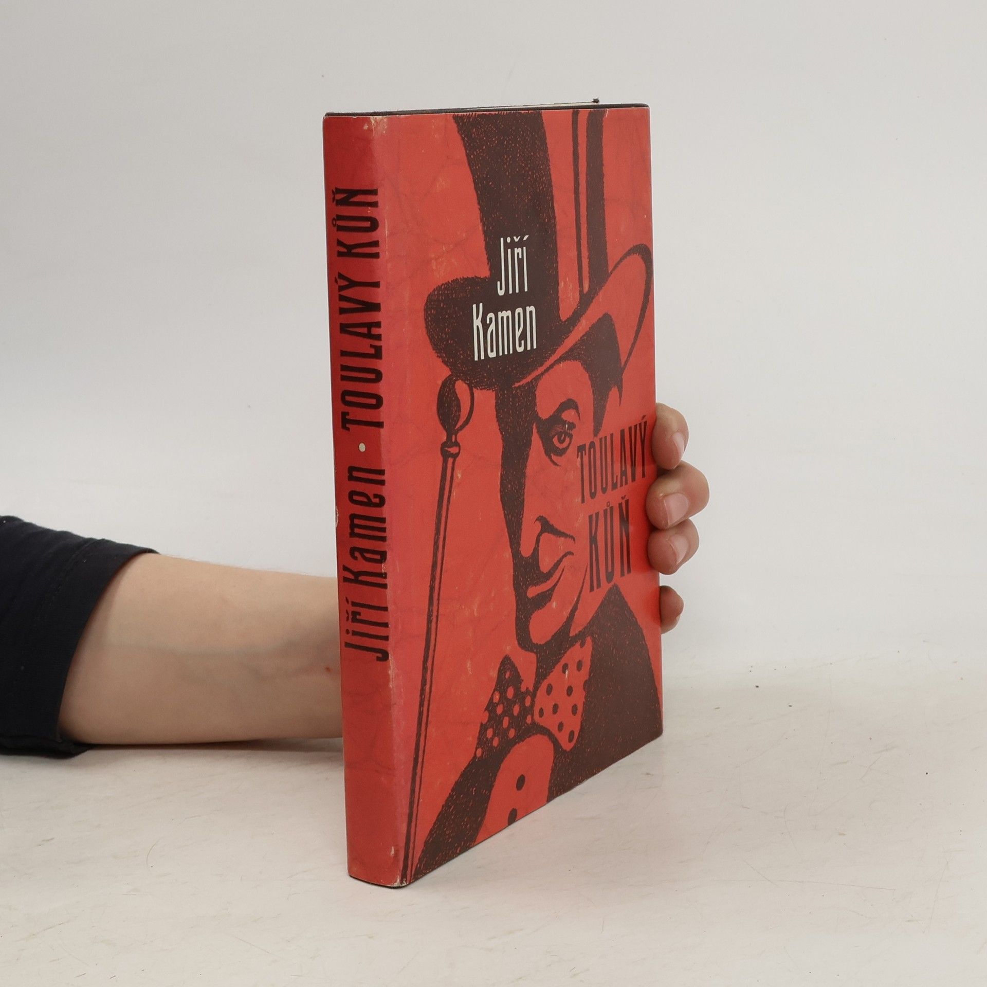 Jiří Kamen Toulavý kůň