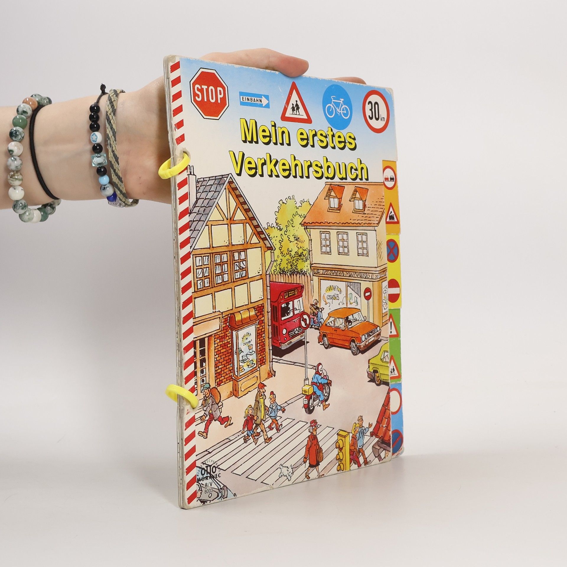 Kolektiv autorů Mein erstes Verkehrsbuch