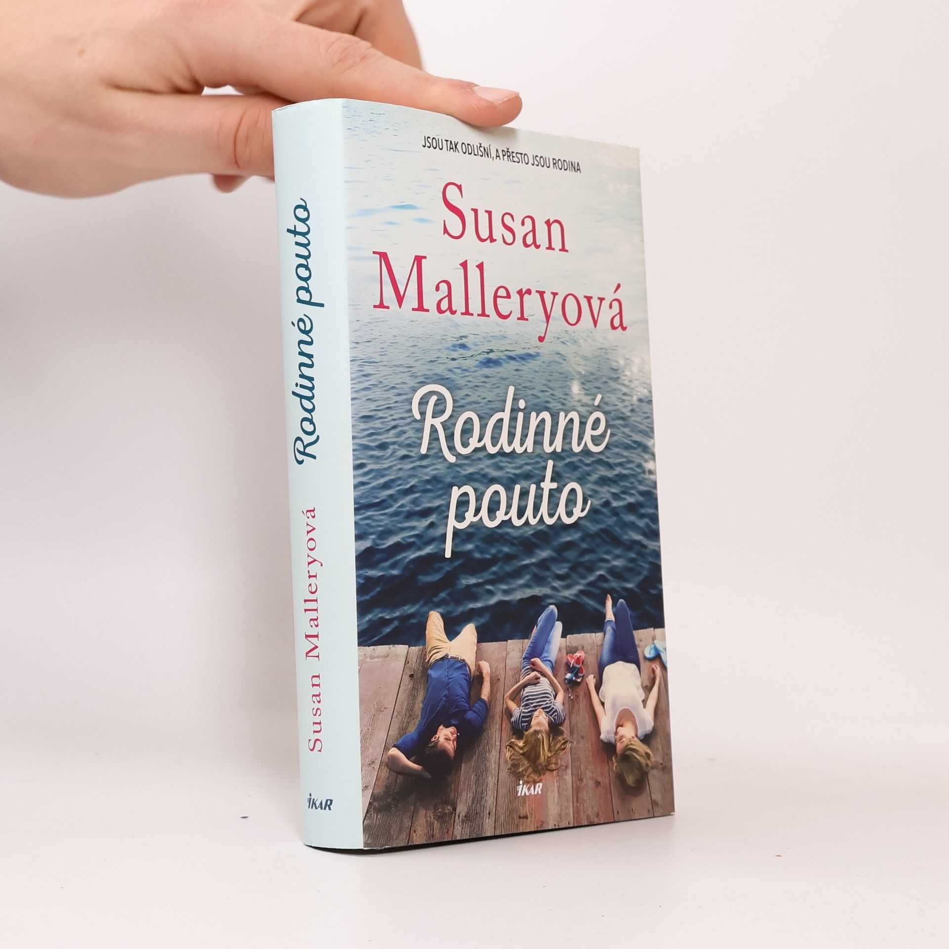 Susan Mallery Rodinné pouto