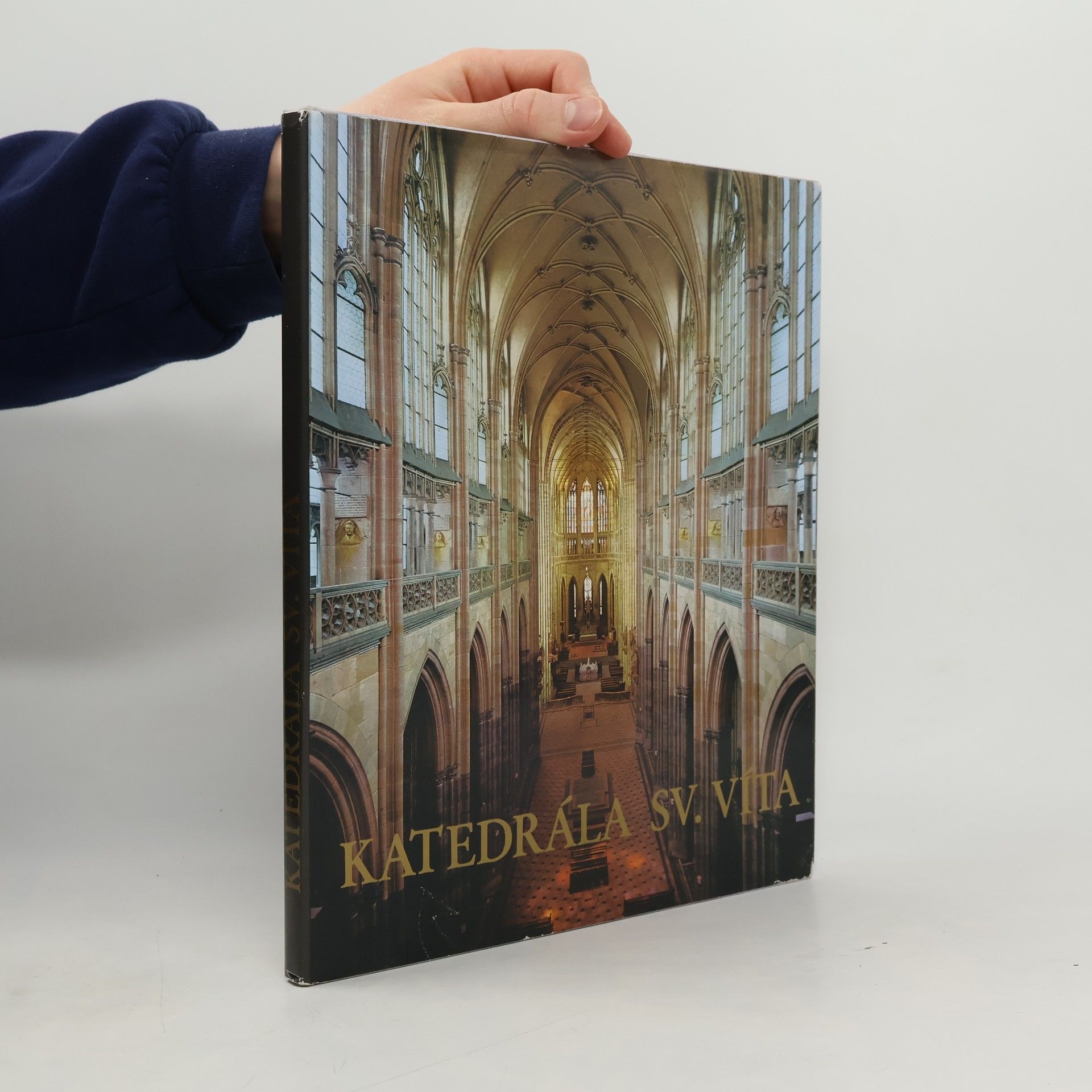 Jiří Burian Katedrála sv. Víta