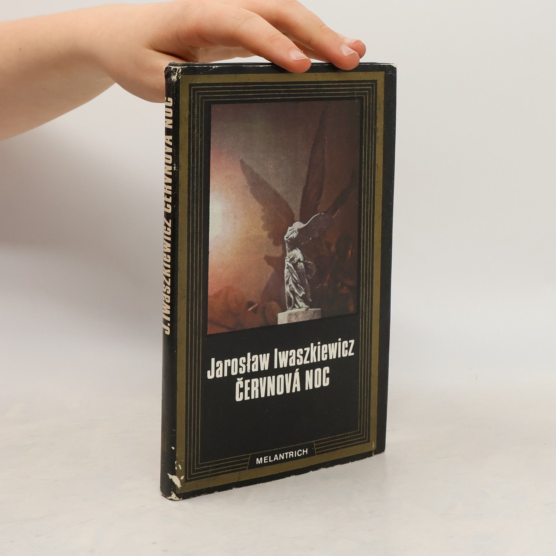 Jarosław Iwaszkiewicz Červnová noc