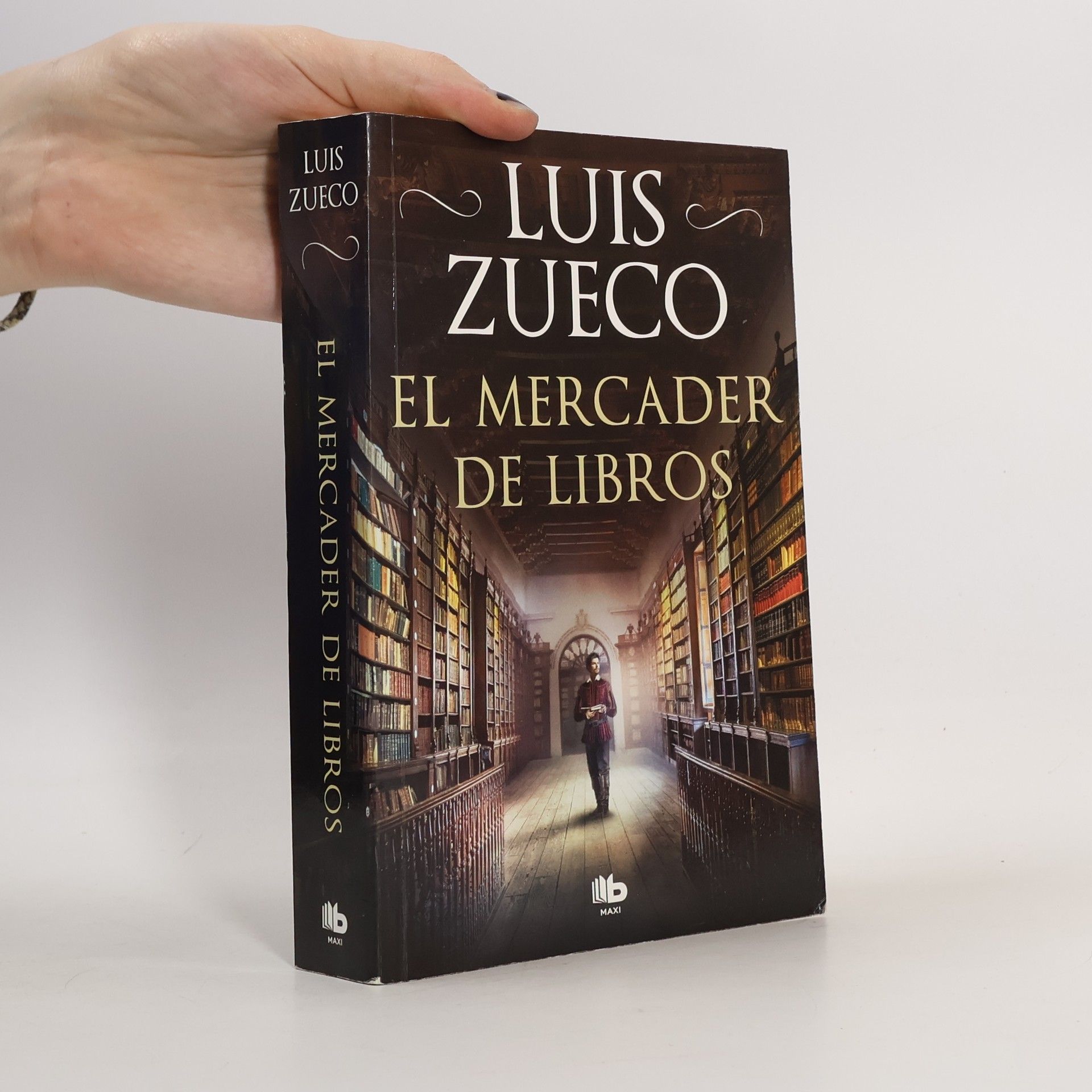 Luis Zueco El mercader de libros