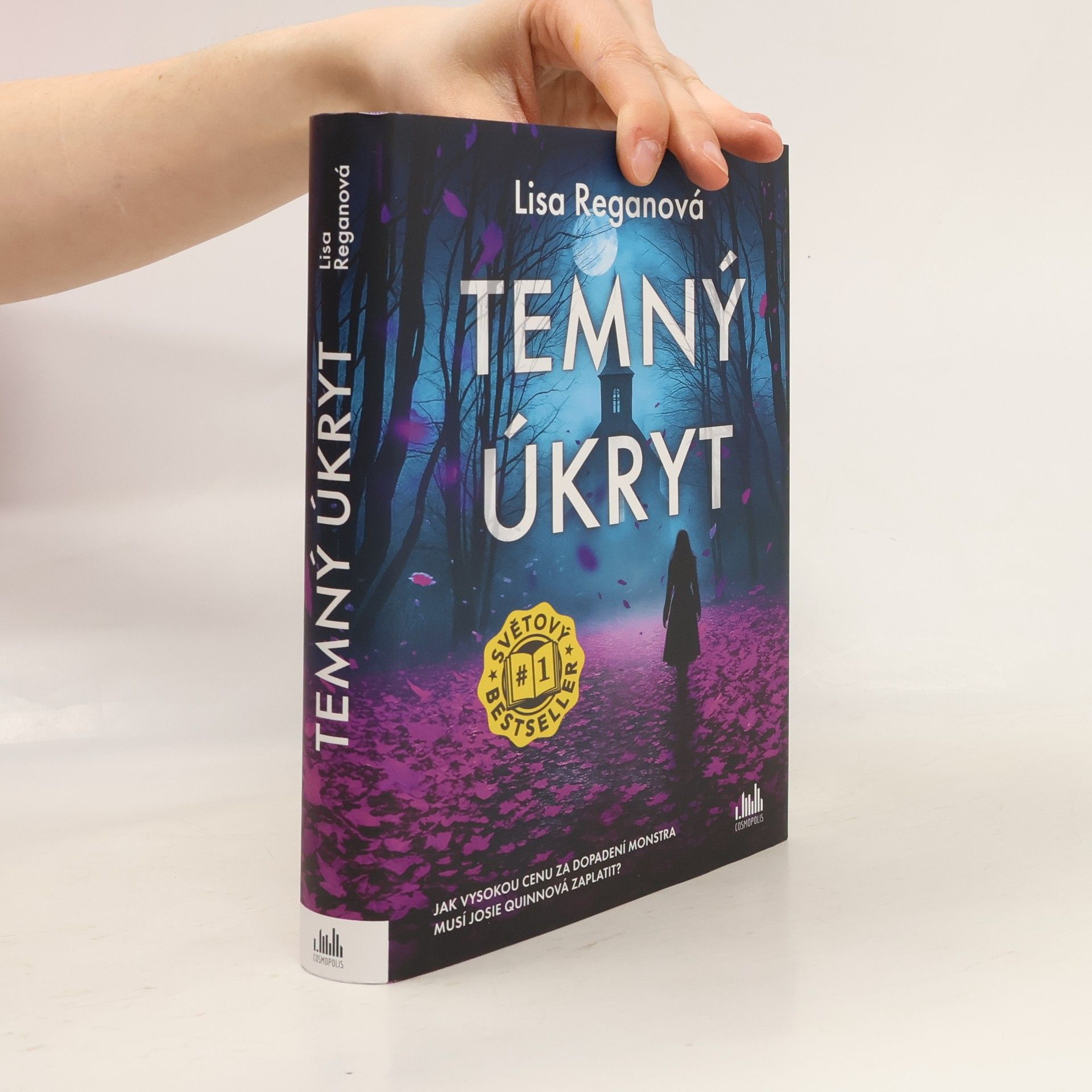 Lisa Regan Temný úkryt